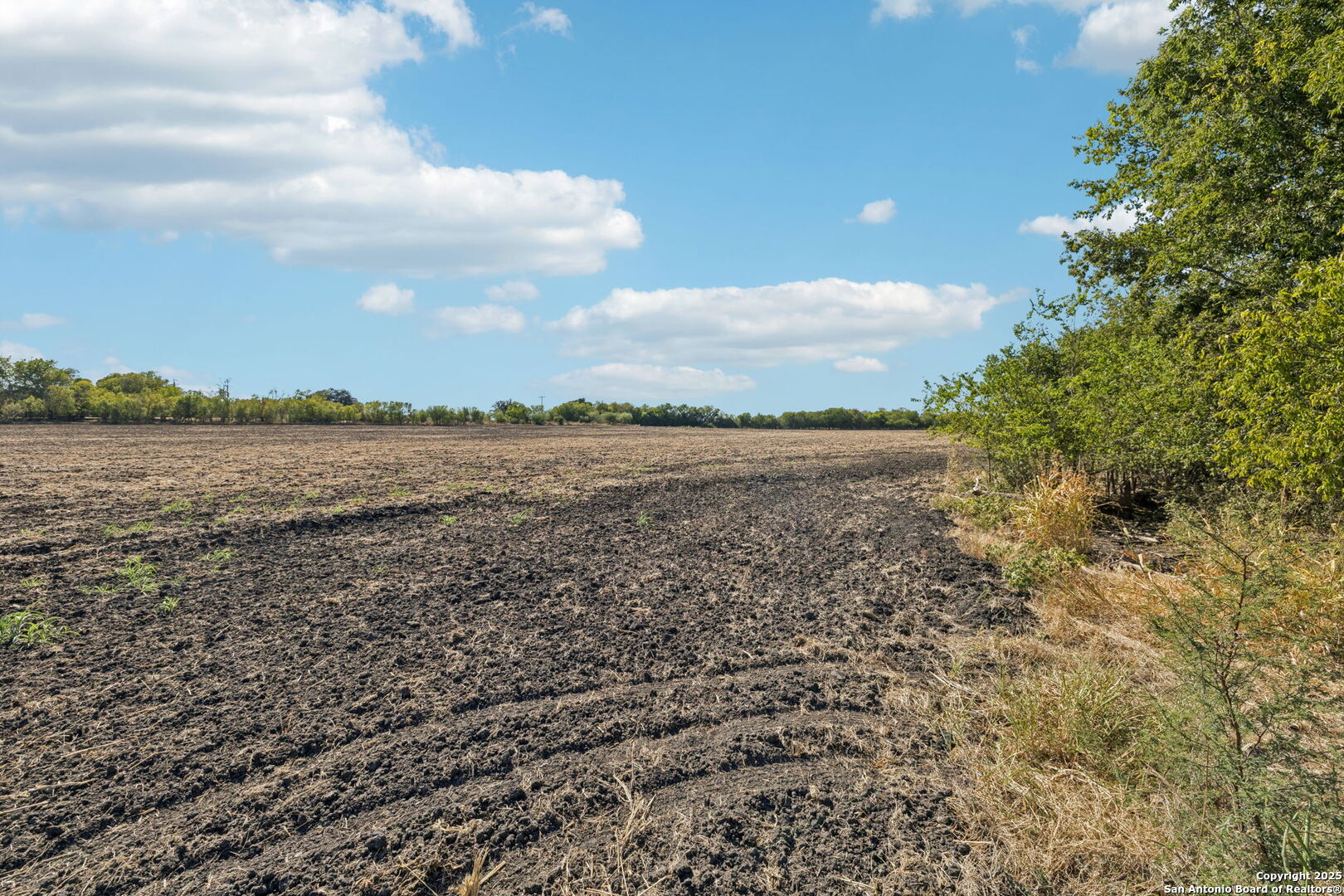 11735 Obrien Road Atascosa, TX 78002 - Photo 18 of 33