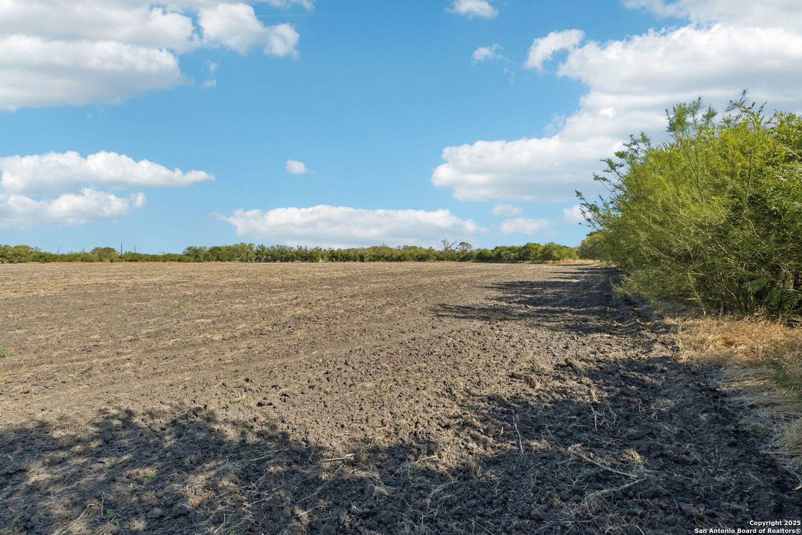 11735 Obrien Road Atascosa, TX 78002 - Photo 19 of 33