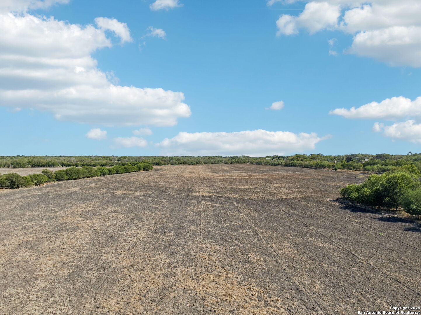 11735 Obrien Road Atascosa, TX 78002 - Photo 26 of 33