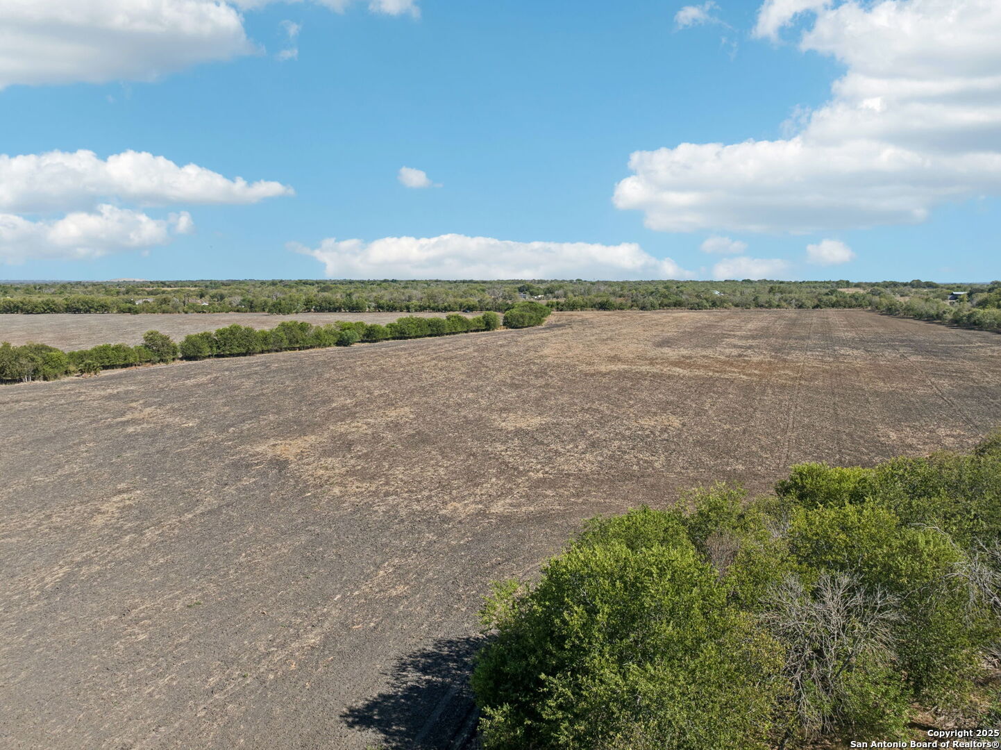 11735 Obrien Road Atascosa, TX 78002 - Photo 27 of 33
