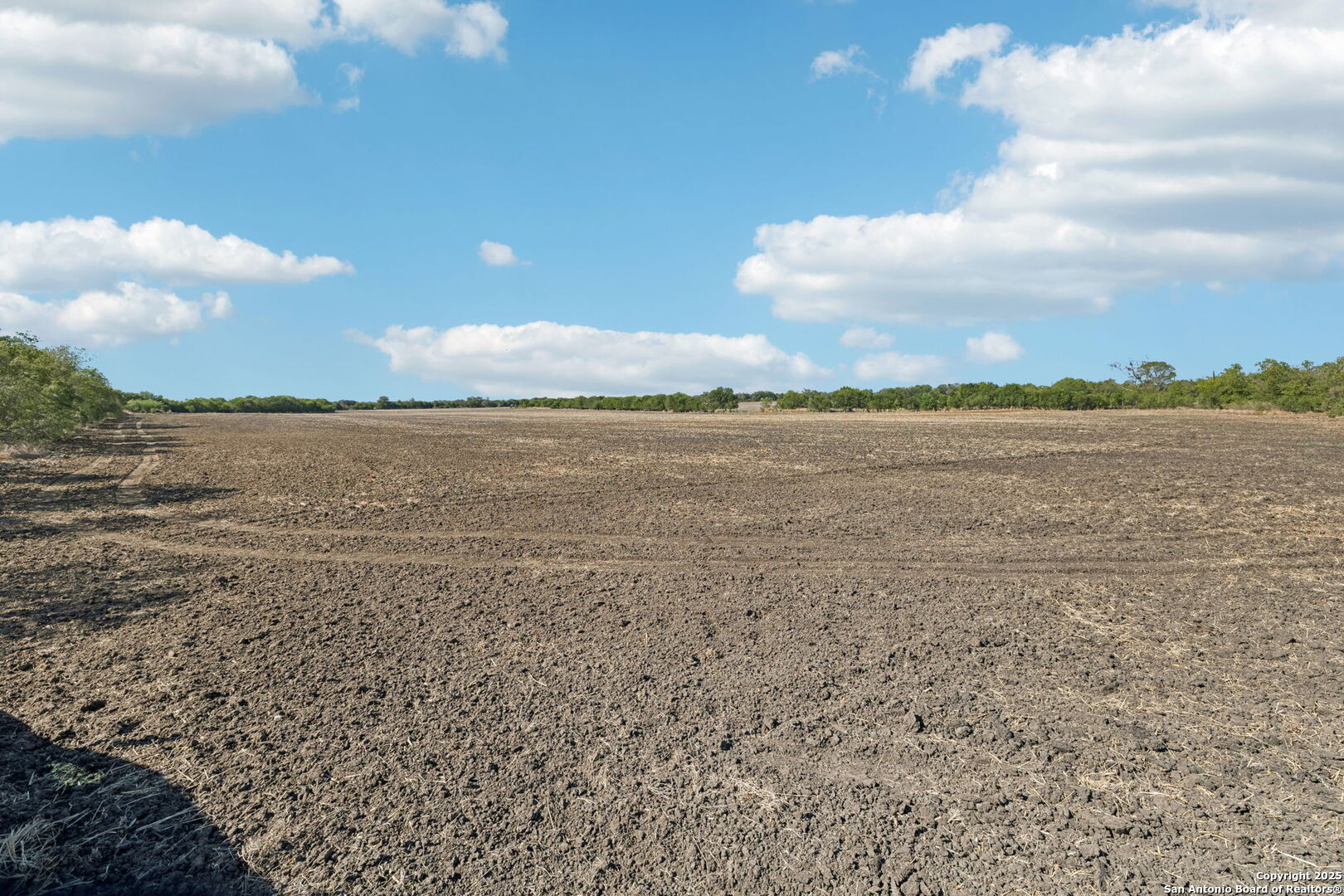 11735 Obrien Road Atascosa, TX 78002 - Photo 5 of 33