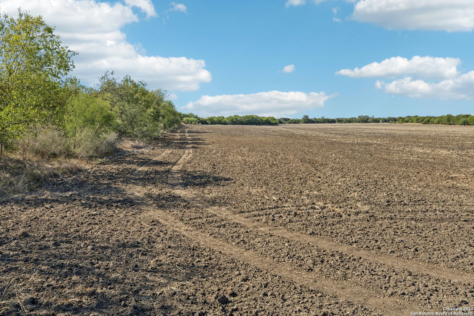 11735 Obrien Road Atascosa, TX 78002 - Photo 6 of 33