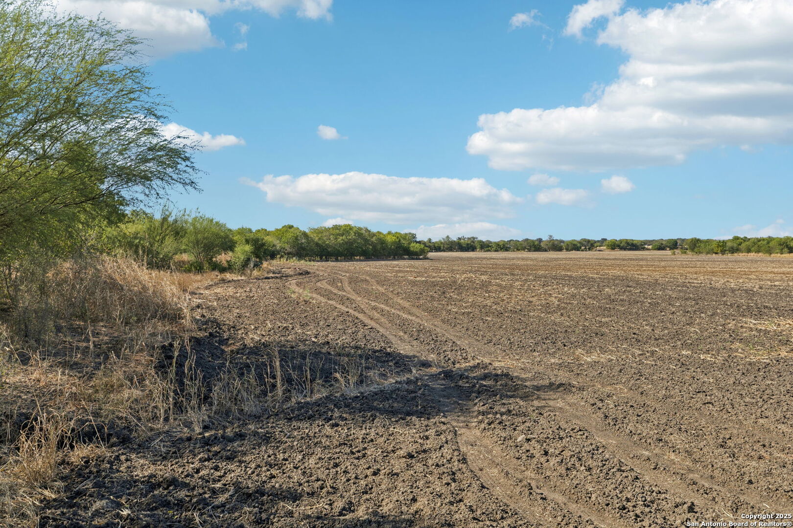 11735 Obrien Road Atascosa, TX 78002 - Photo 7 of 33