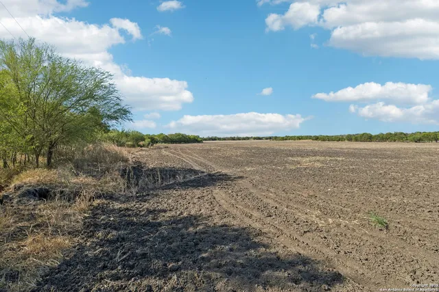 a view of an ocean beach