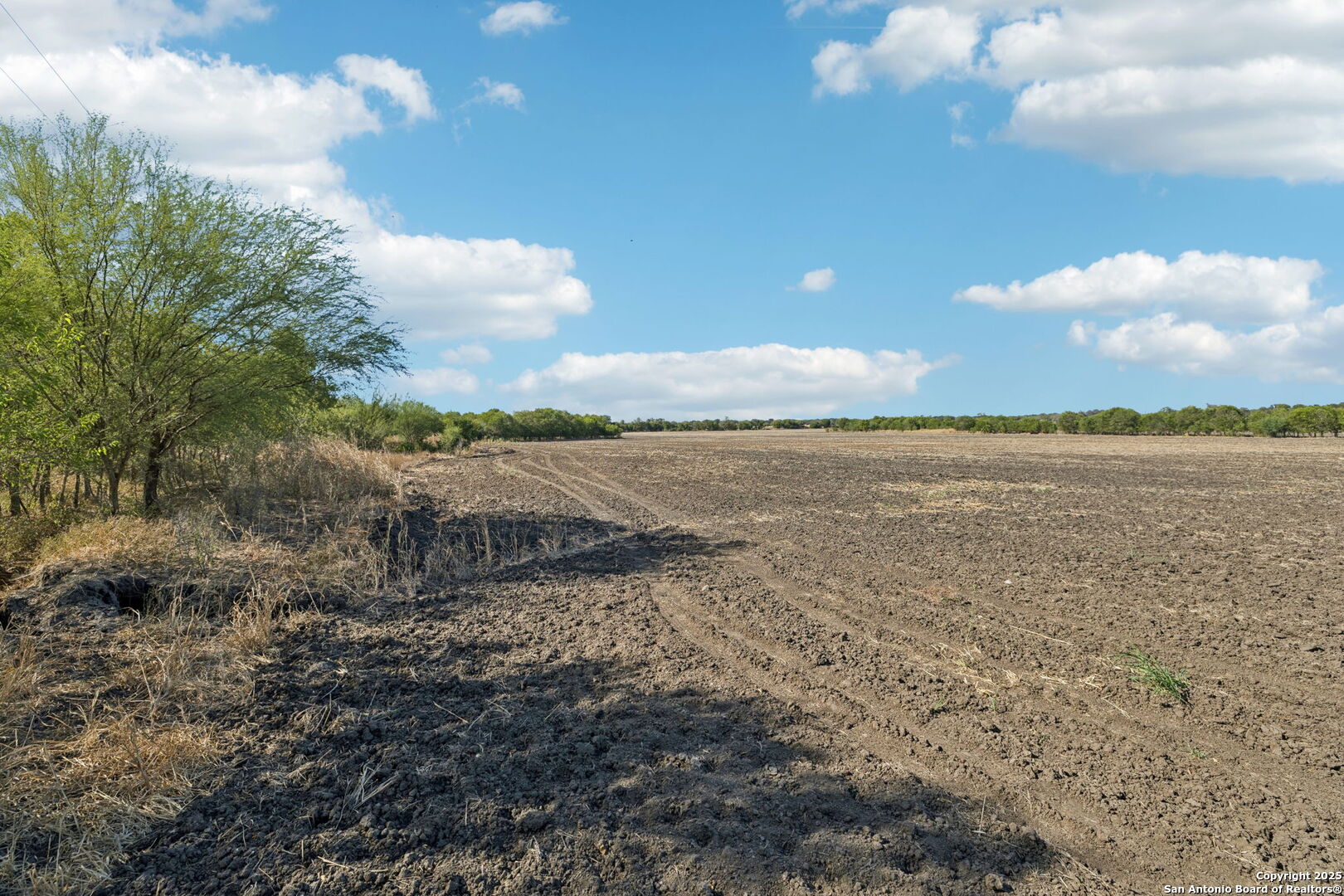 11735 Obrien Road Atascosa, TX 78002 - Photo 8 of 33
