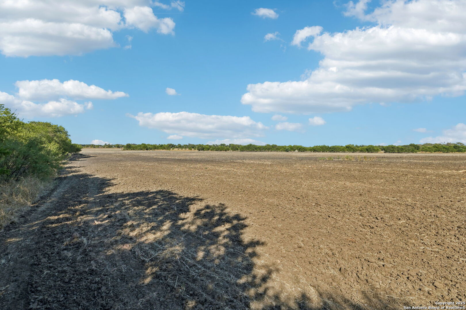 11735 Obrien Road Atascosa, TX 78002 - Photo 9 of 33