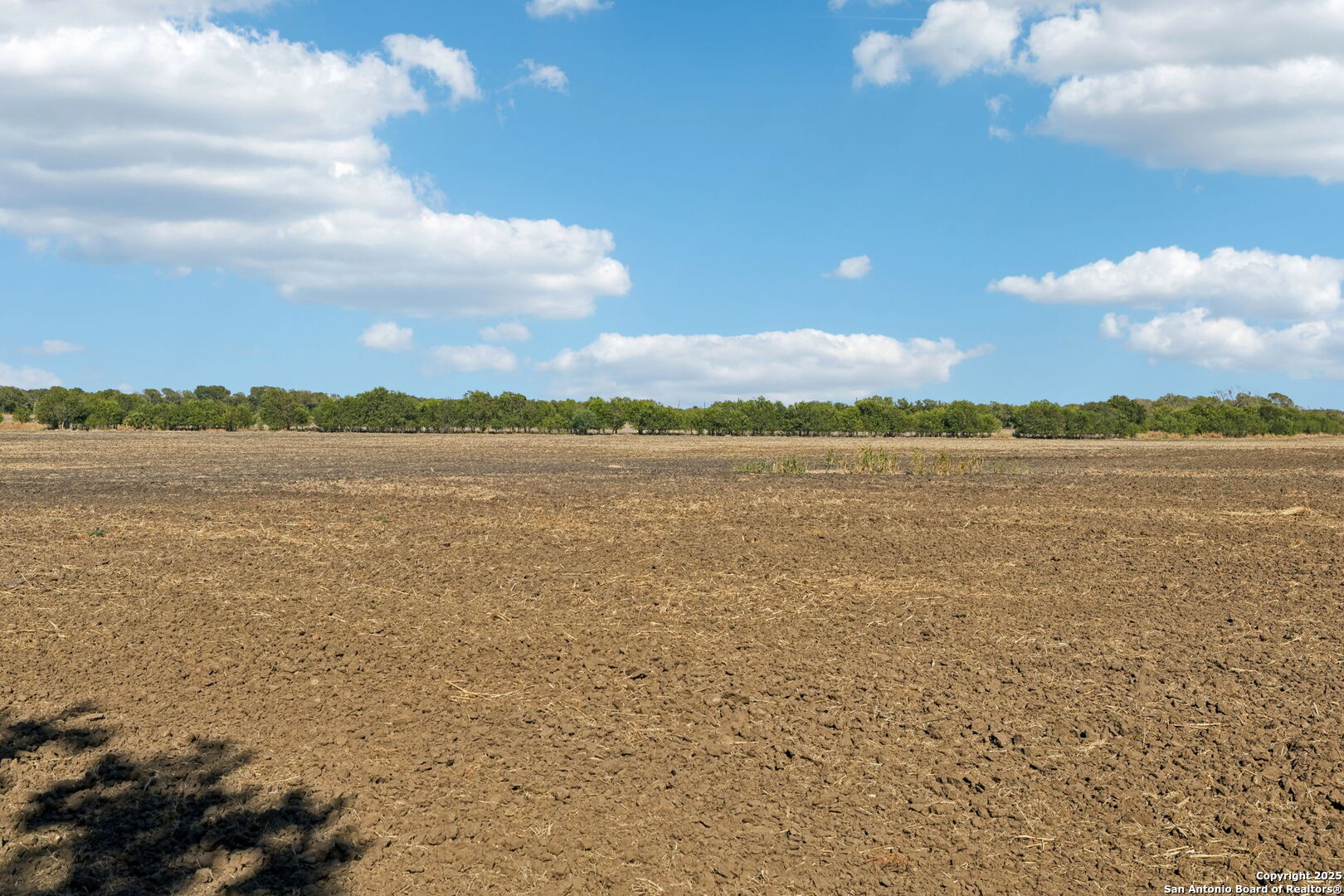 11735 Obrien Road Atascosa, TX 78002 - Photo 10 of 33