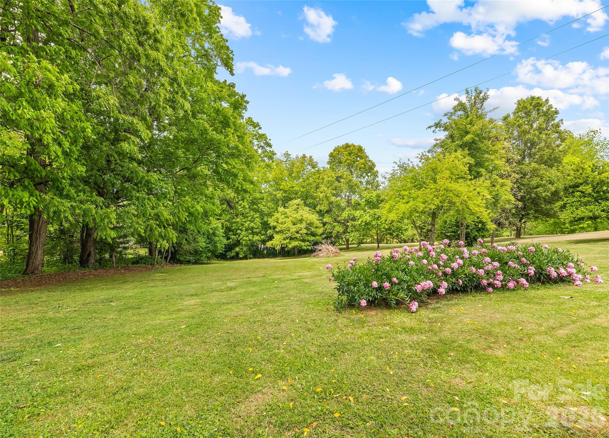 17 King Drive Leicester, NC 28748 - Photo 29 of 29 Gallery Image 29
