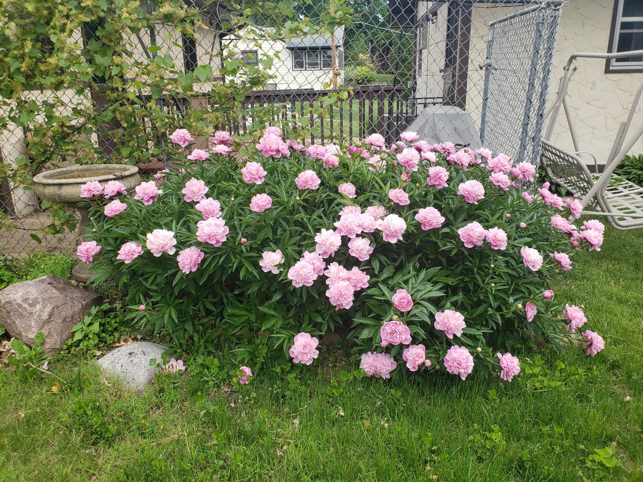6019 Cherrywood Road Mound, MN 55364 - Photo 35 of 43