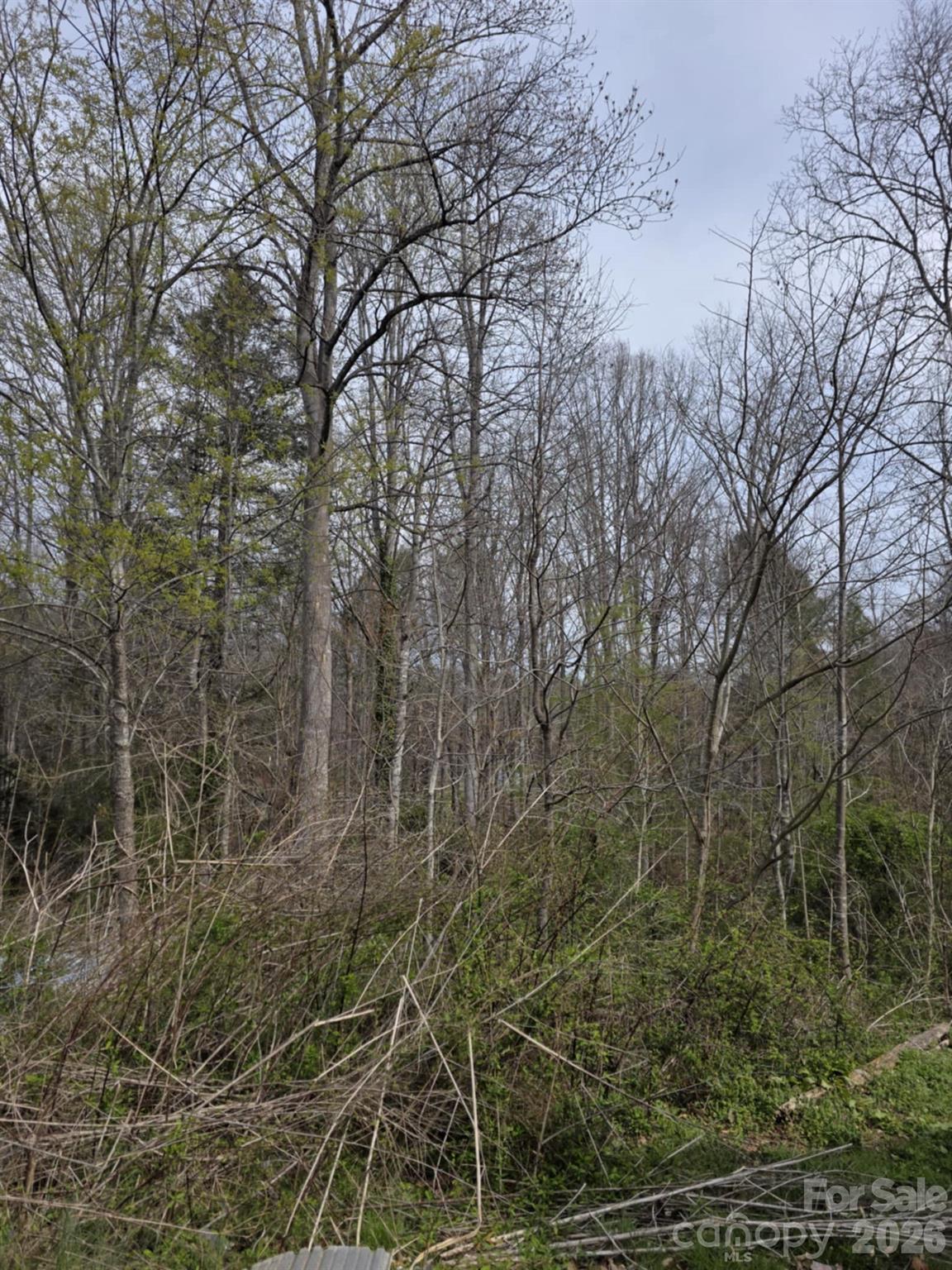 41 Jack Rabbit Drive Marion, NC 28752 - Photo 1 of 12