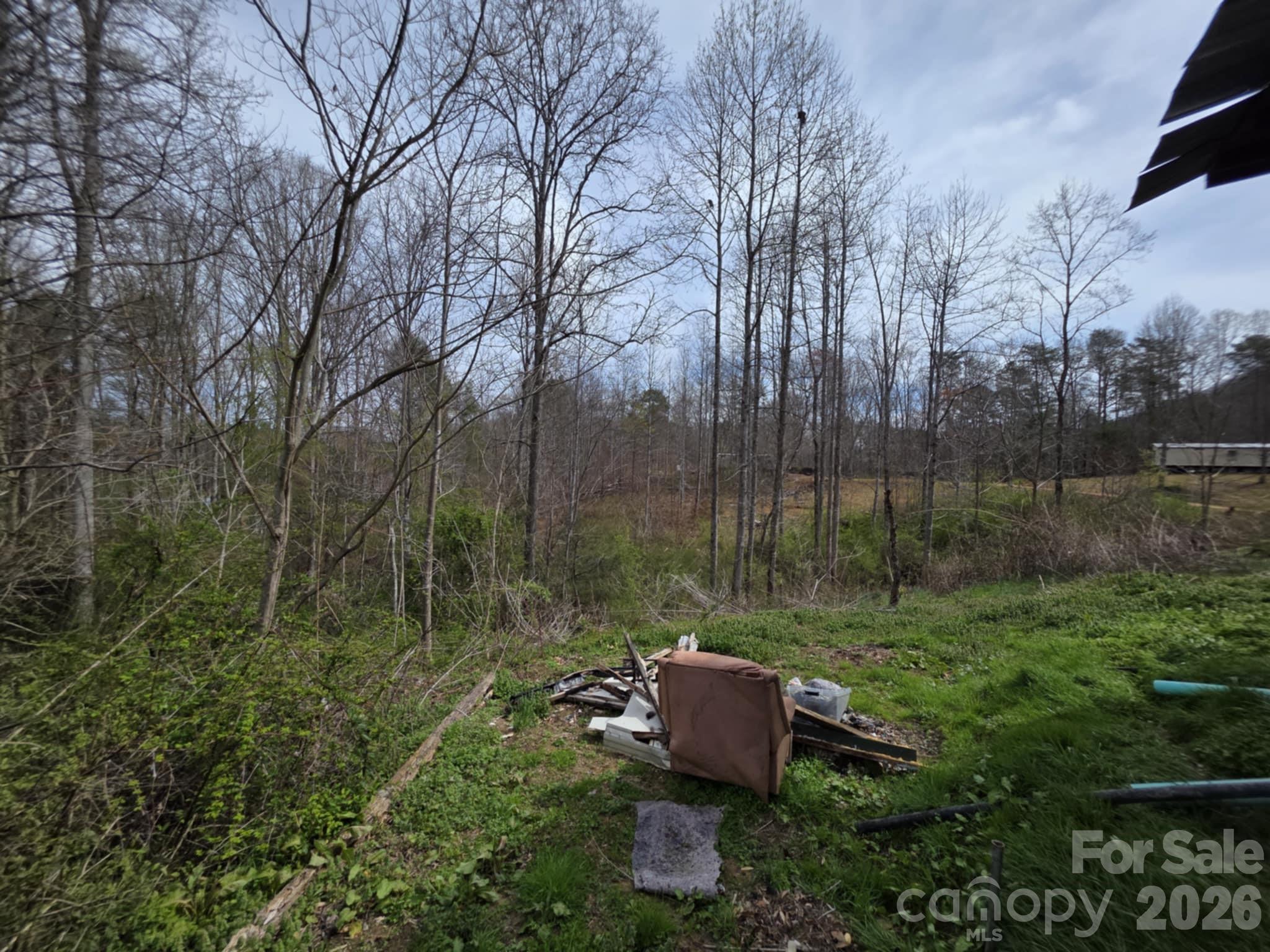 41 Jack Rabbit Drive Marion, NC 28752 - Photo 3 of 12