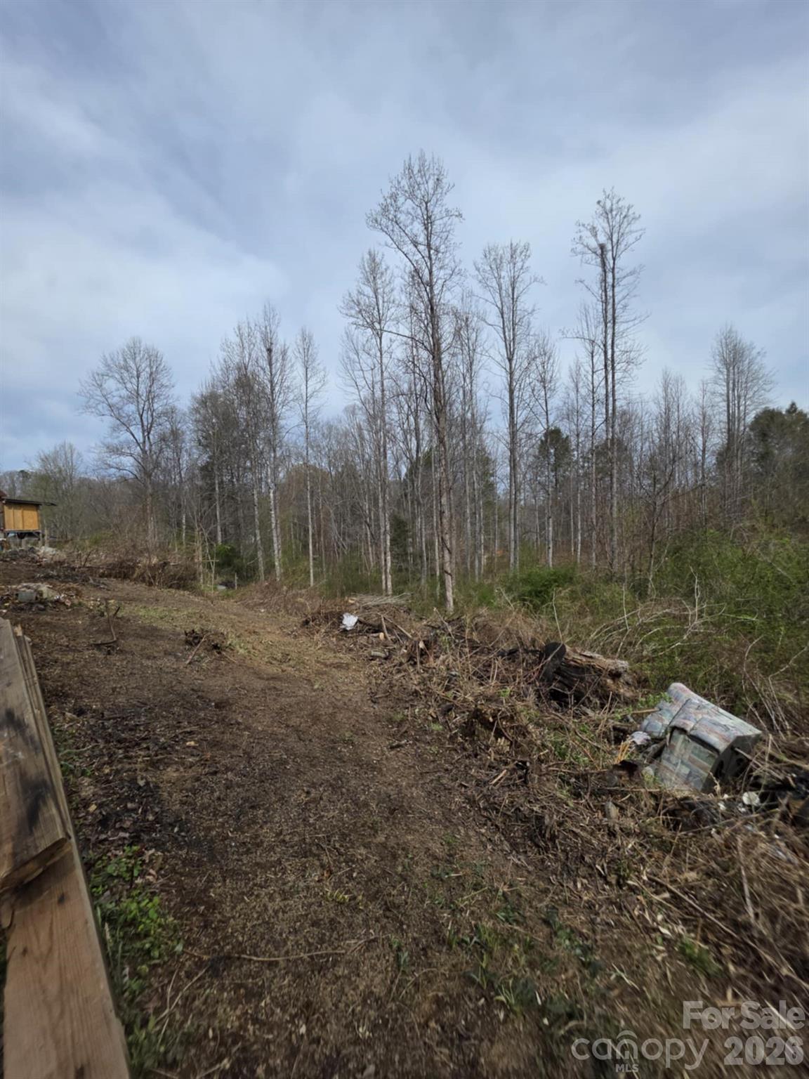 41 Jack Rabbit Drive Marion, NC 28752 - Photo 4 of 12