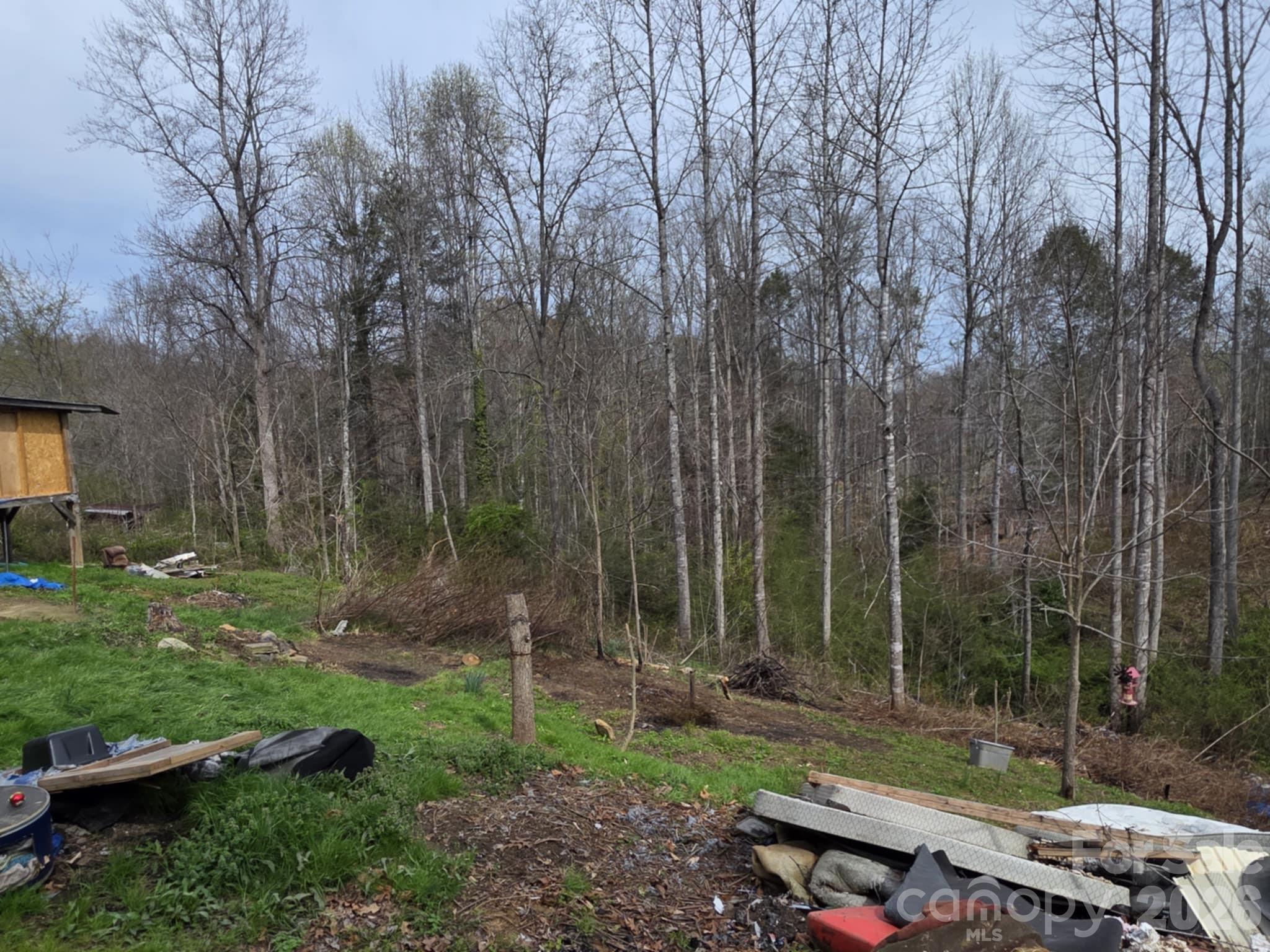 41 Jack Rabbit Drive Marion, NC 28752 - Photo 7 of 12