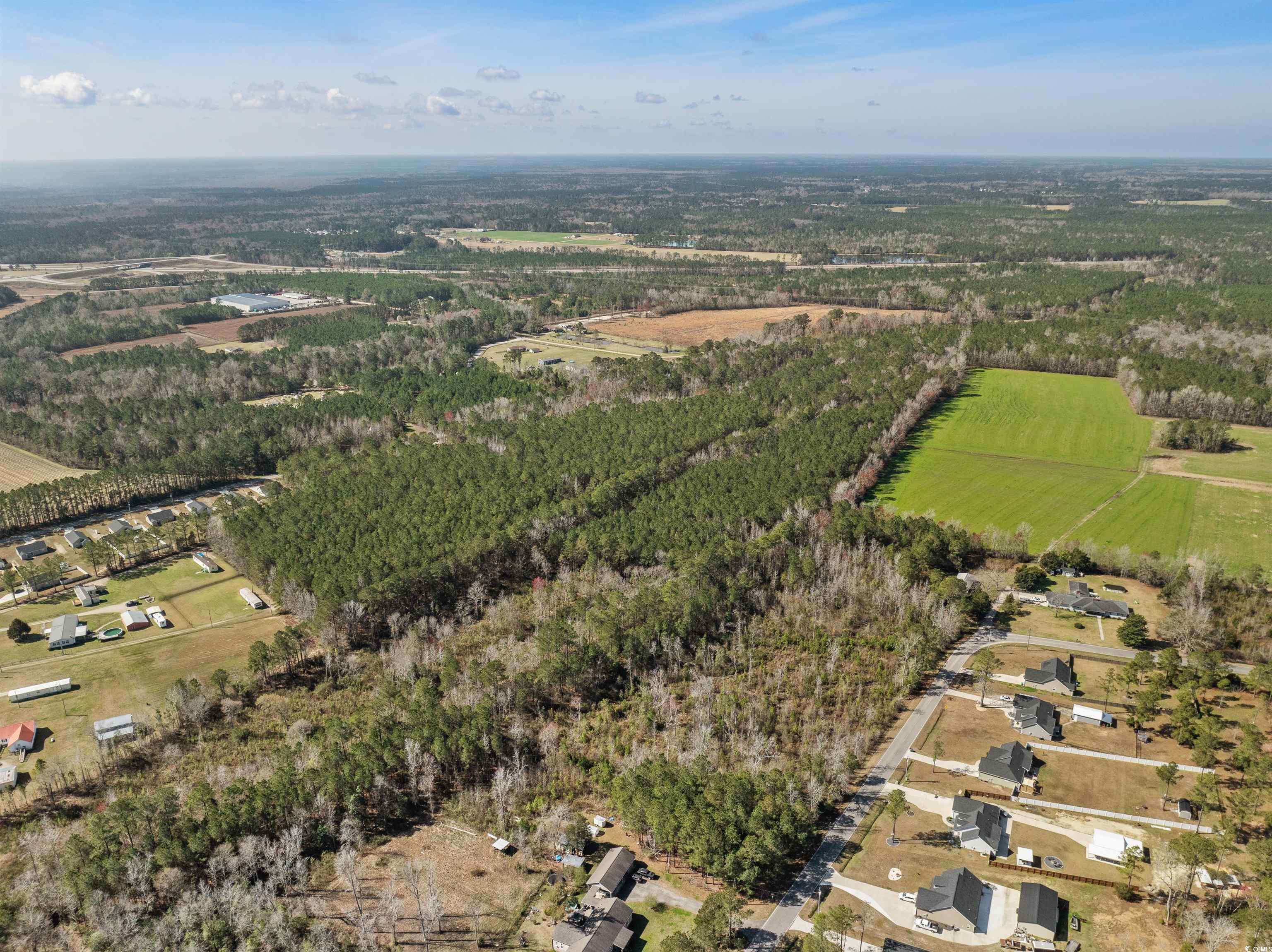 Tbd - Lot 2 Tbd - Drive Loris, SC 29569 - Photo 23 of 26