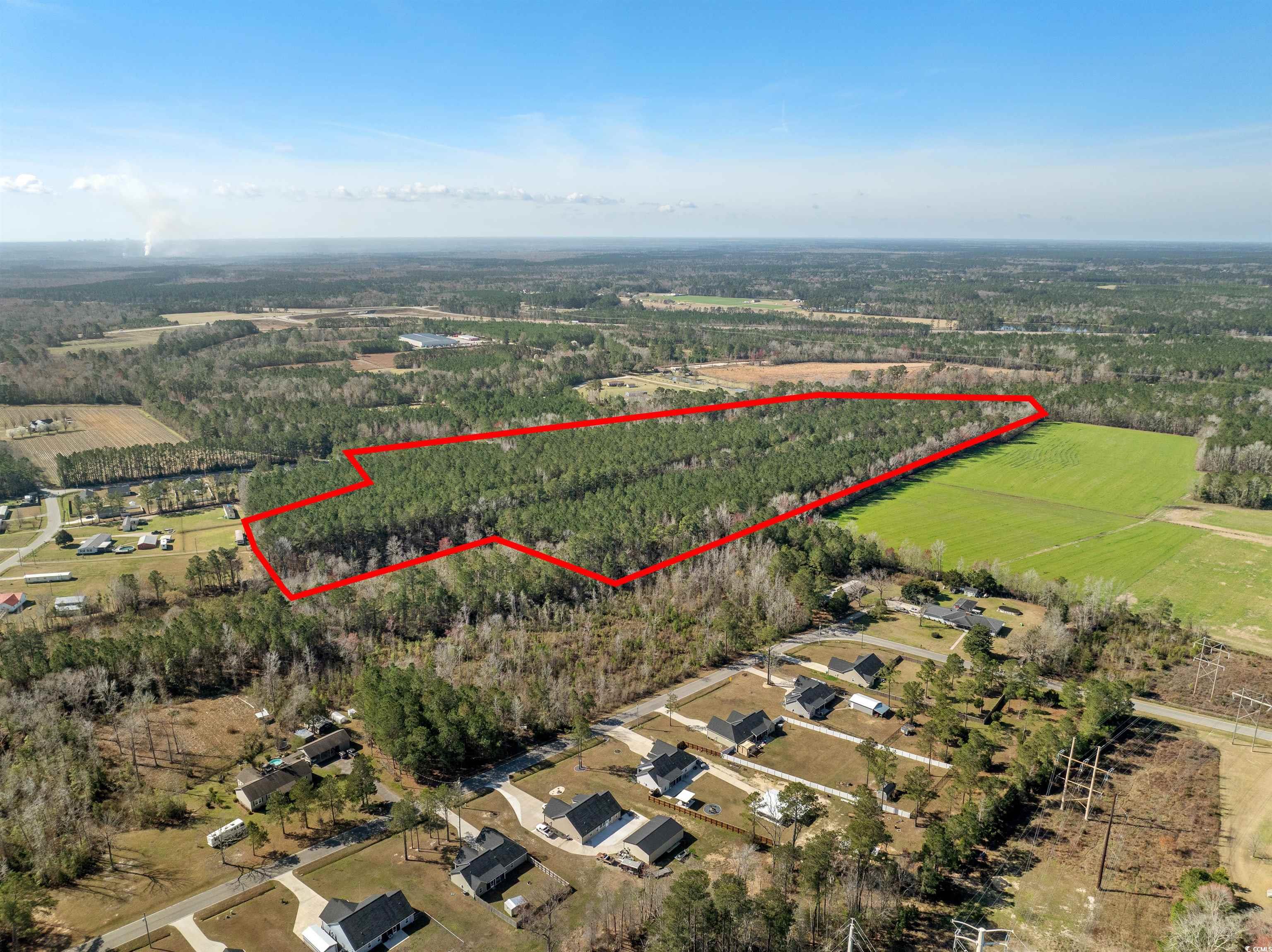 Tbd - Lot 2 Tbd - Drive Loris, SC 29569 - Photo 4 of 26