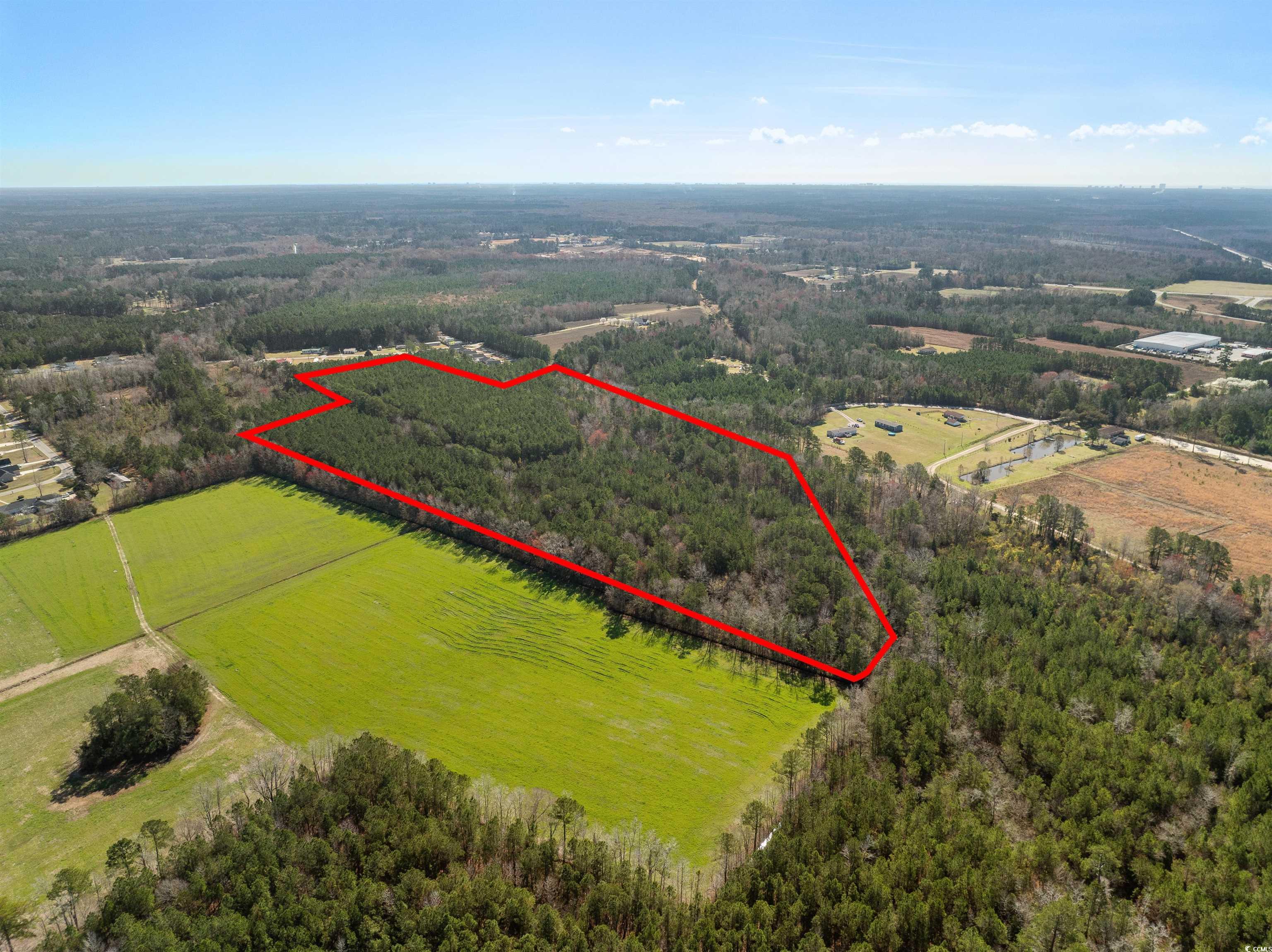 Tbd - Lot 2 Tbd - Drive Loris, SC 29569 - Photo 8 of 26