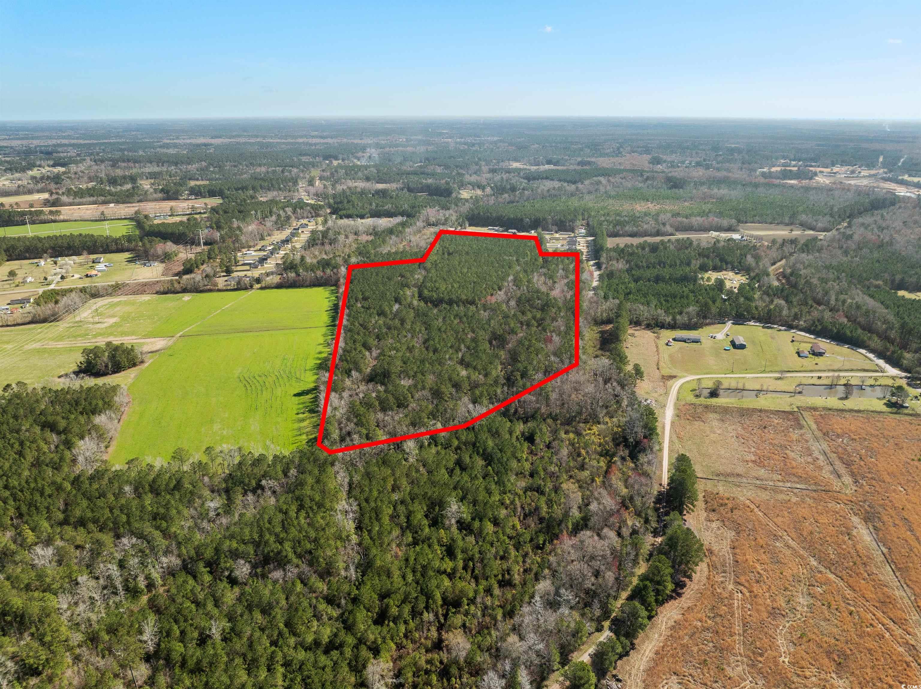 Tbd - Lot 2 Tbd - Drive Loris, SC 29569 - Photo 10 of 26
