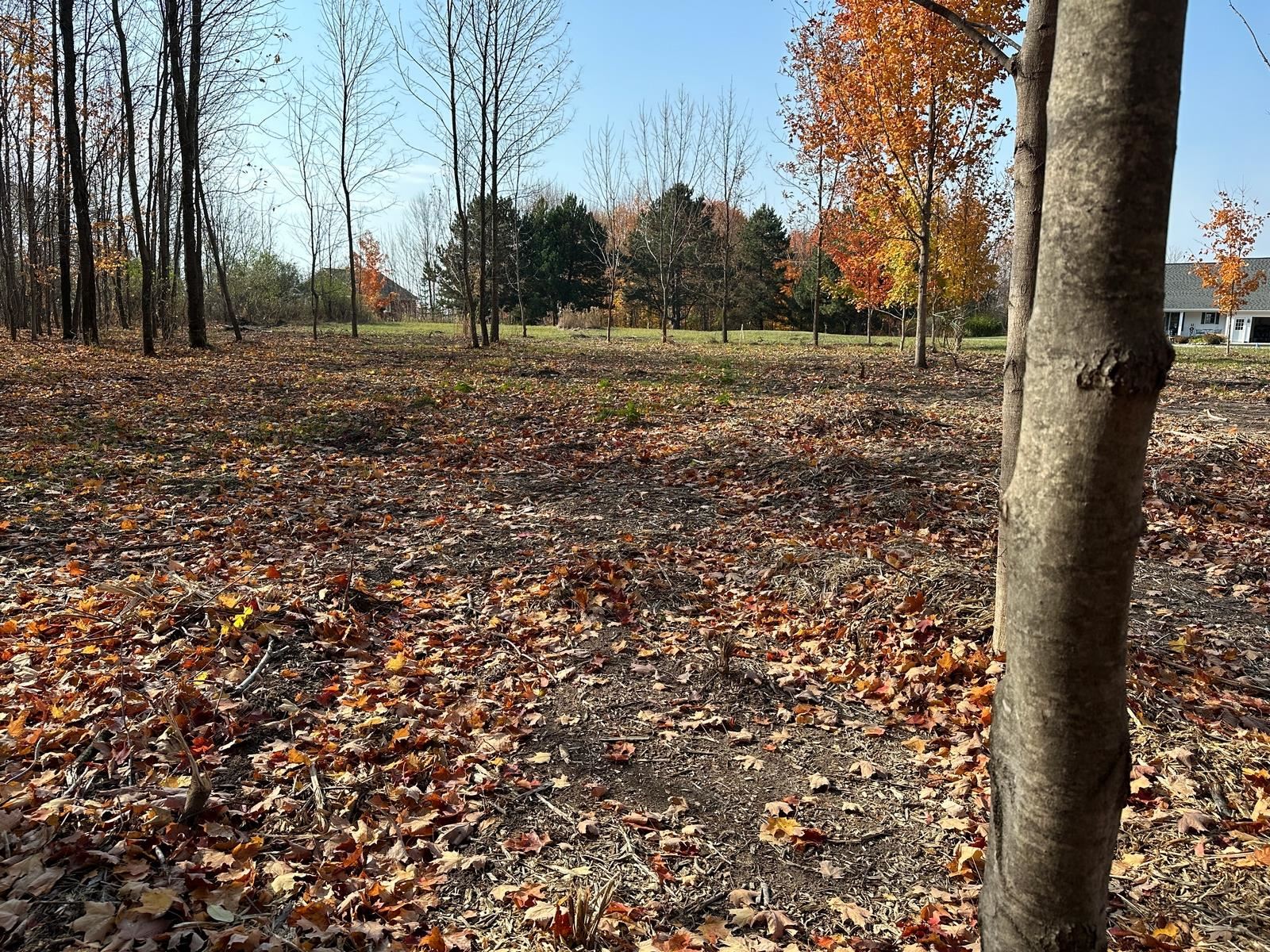 4461 Powell Road Kewadin, MI 49648 - Photo 2 of 18 Gallery Image 2