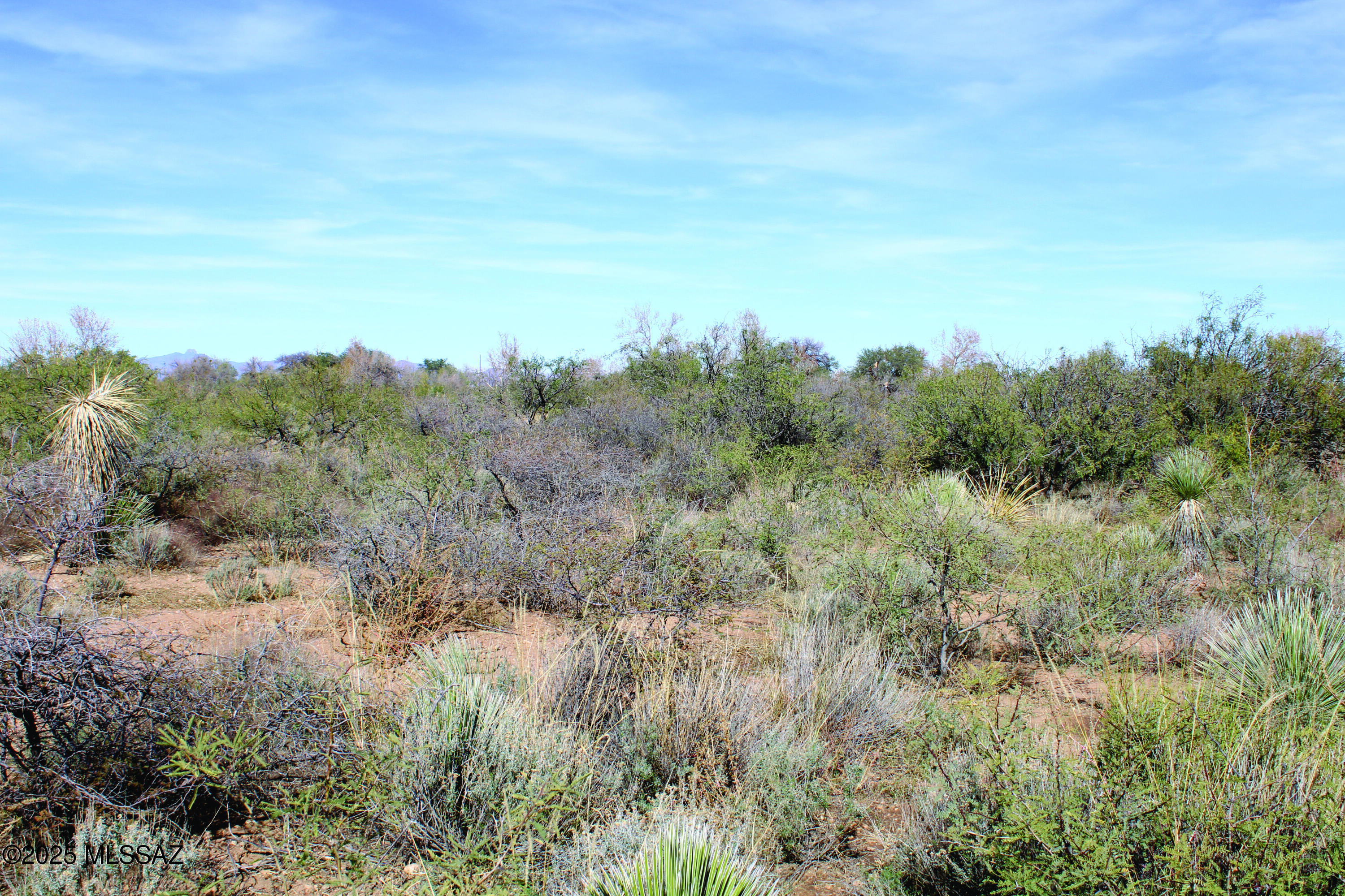 10-acres East Roadrunner Road, Unit D Pearce, AZ 85625 - Photo 15 of 24 a view of a yard