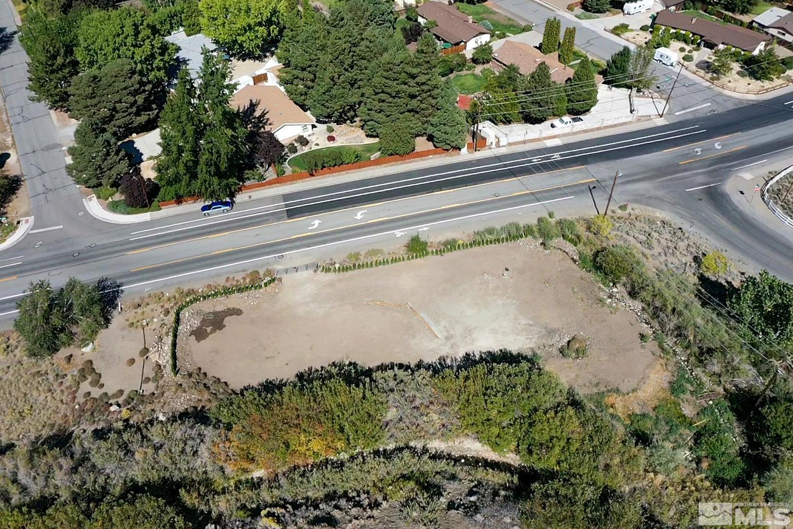 5020 Mayberry Drive Reno, NV 89519 - Photo 27 of 29 a close up of a plant in a garden