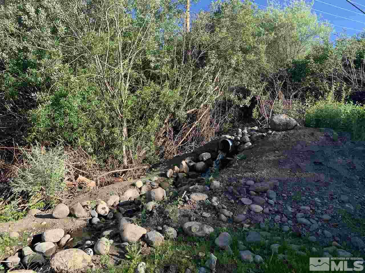 5020 Mayberry Drive Reno, NV 89519 - Photo 7 of 29 a view of a forest with a tree