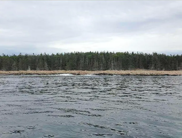 $449,000 | 0 Butler Road, Frenchboro, ME 04635