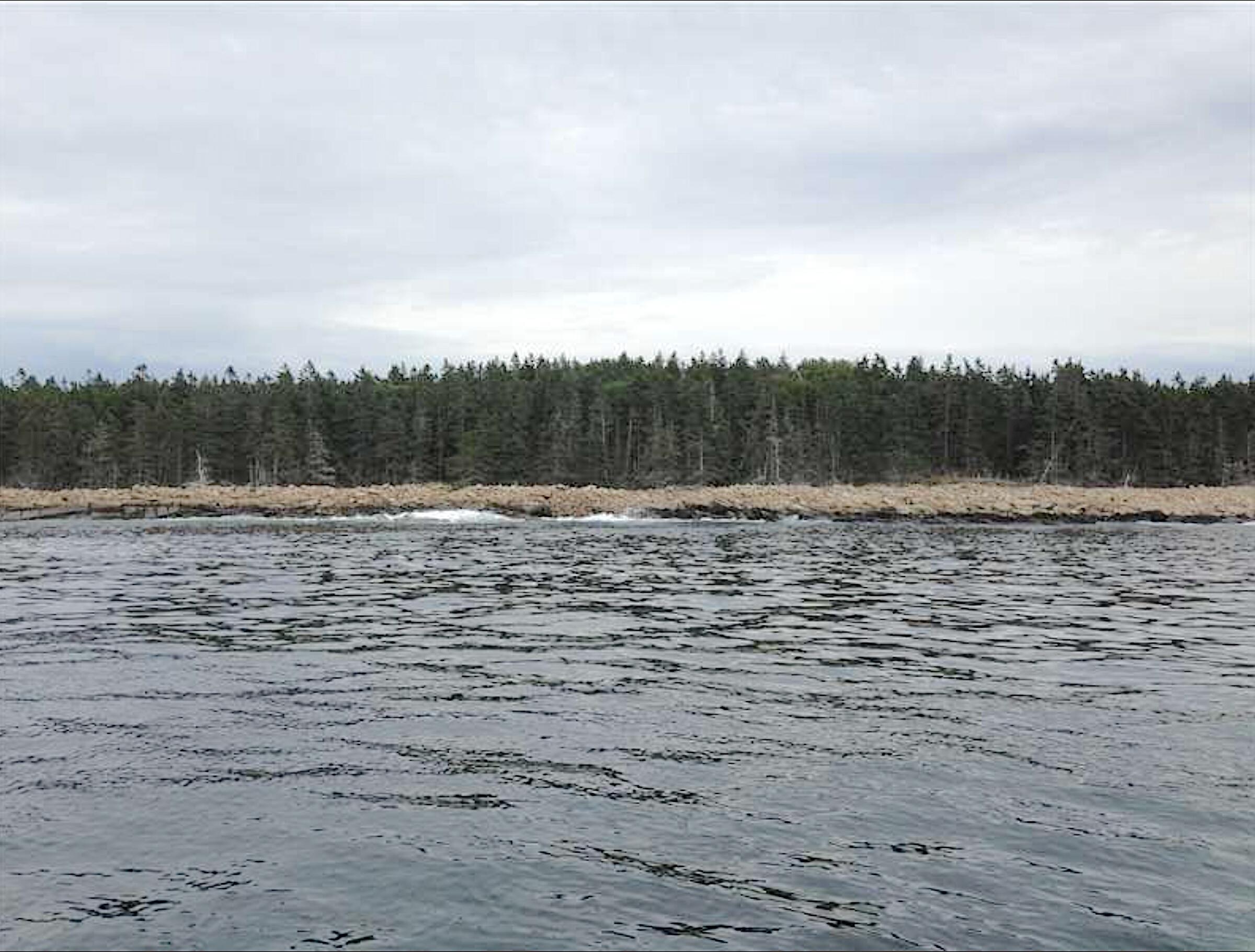 0 Butler Road Frenchboro, ME 04635 - Photo 11 of 22 from water