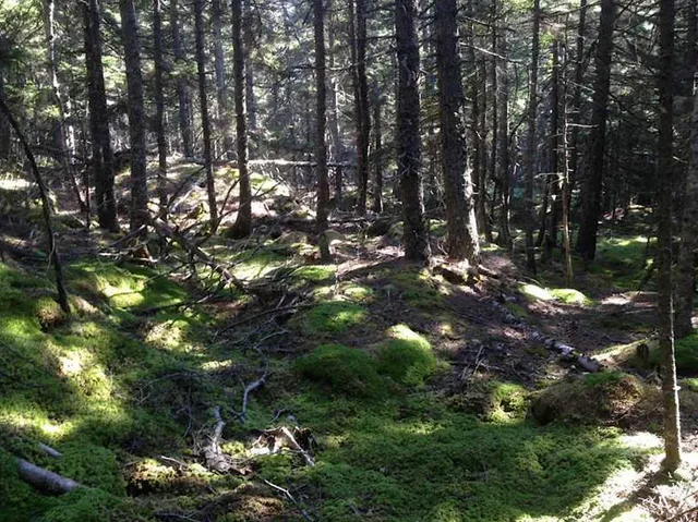 $449,000 | 0 Butler Road, Frenchboro, ME 04635