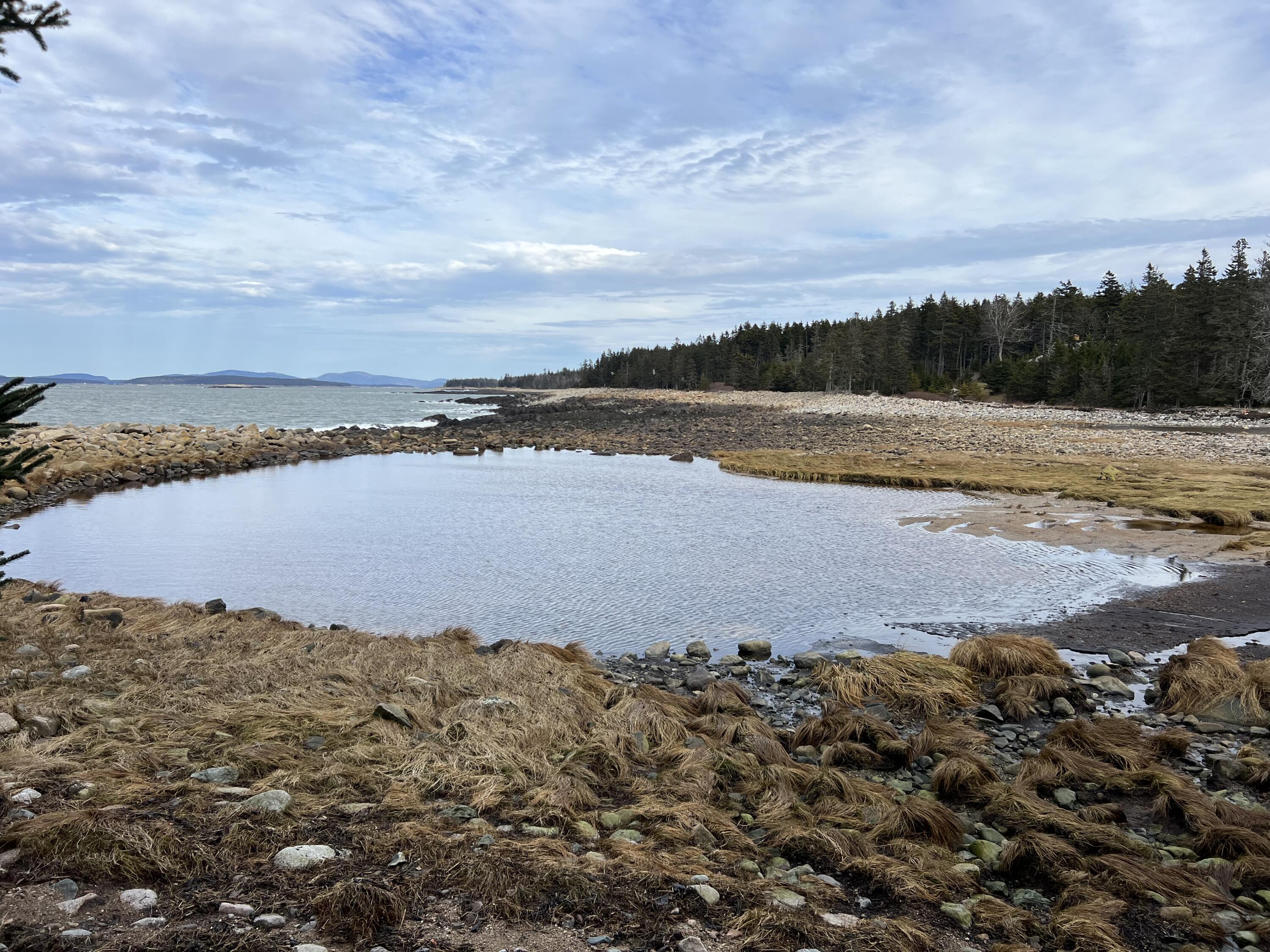 0 Butler Road Frenchboro, ME 04635 - Photo 14 of 22 IMG_1700