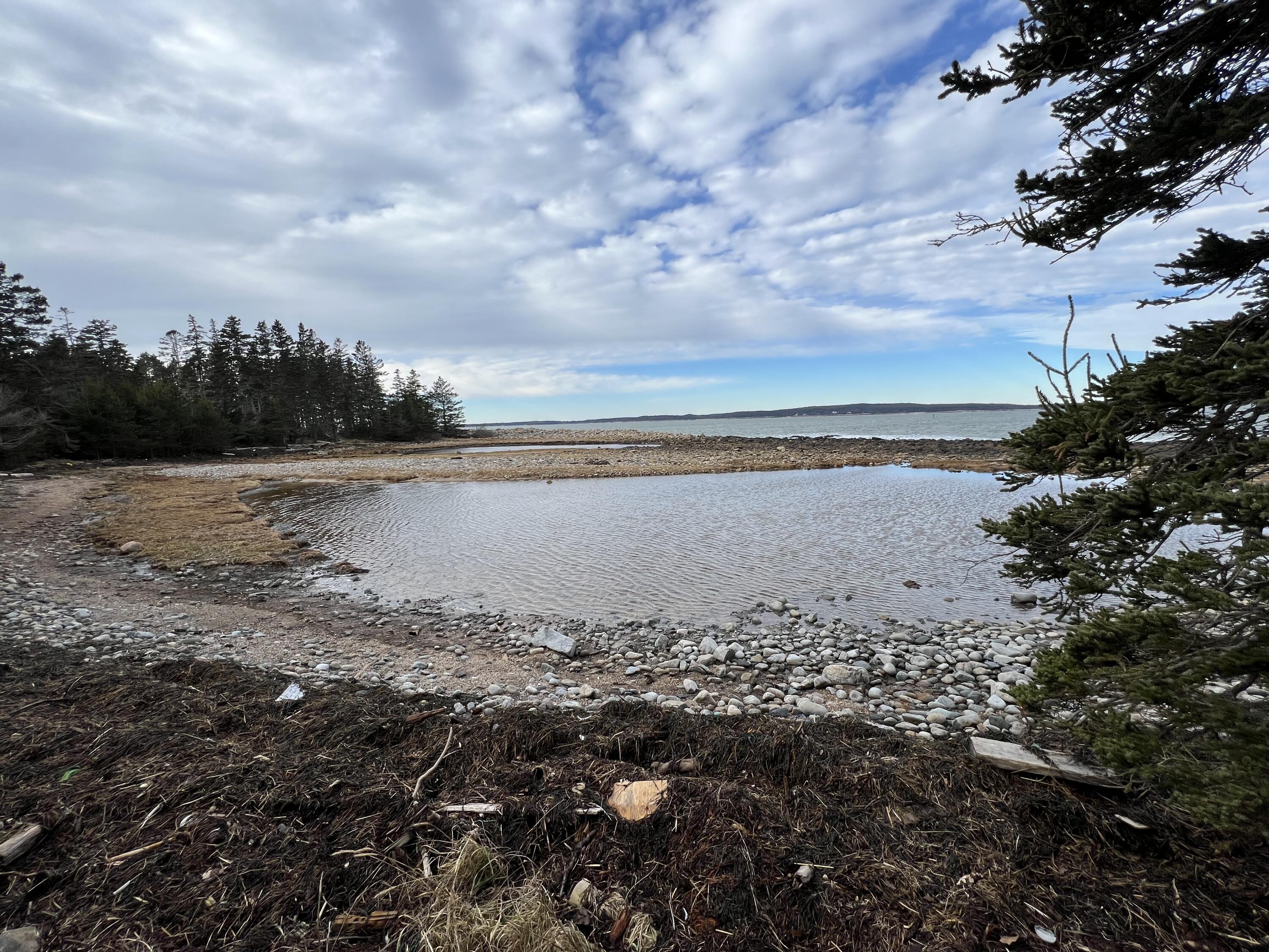 0 Butler Road Frenchboro, ME 04635 - Photo 17 of 22 IMG_1711