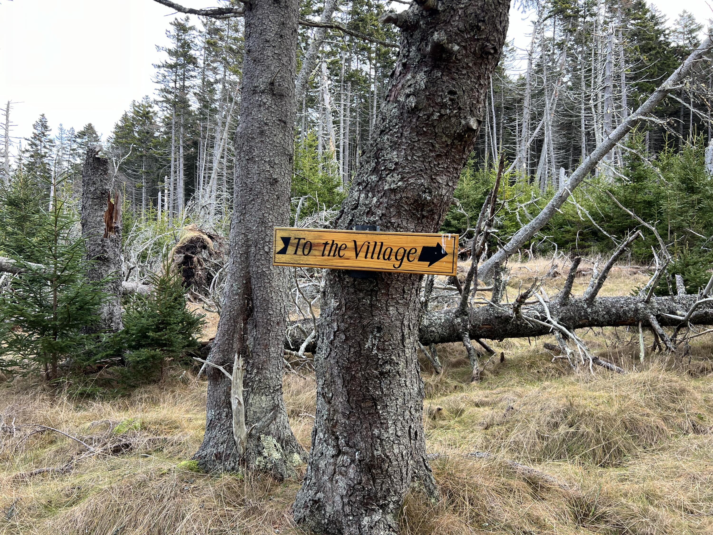 0 Butler Road Frenchboro, ME 04635 - Photo 18 of 22 IMG_1712