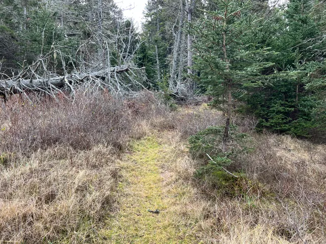 $449,000 | 0 Butler Road, Frenchboro, ME 04635