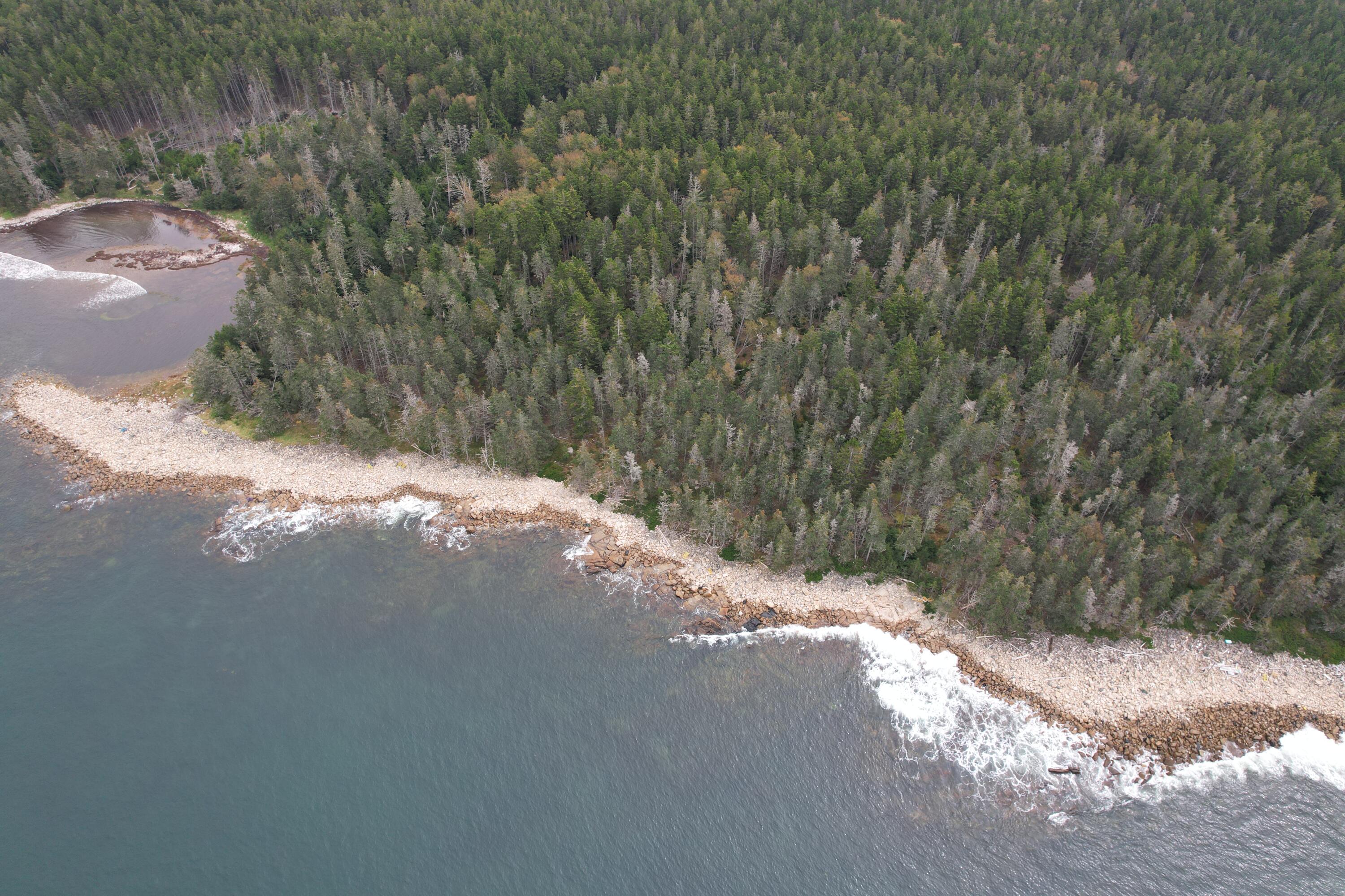 0 Butler Road Frenchboro, ME 04635 - Photo 3 of 22 shoreline close