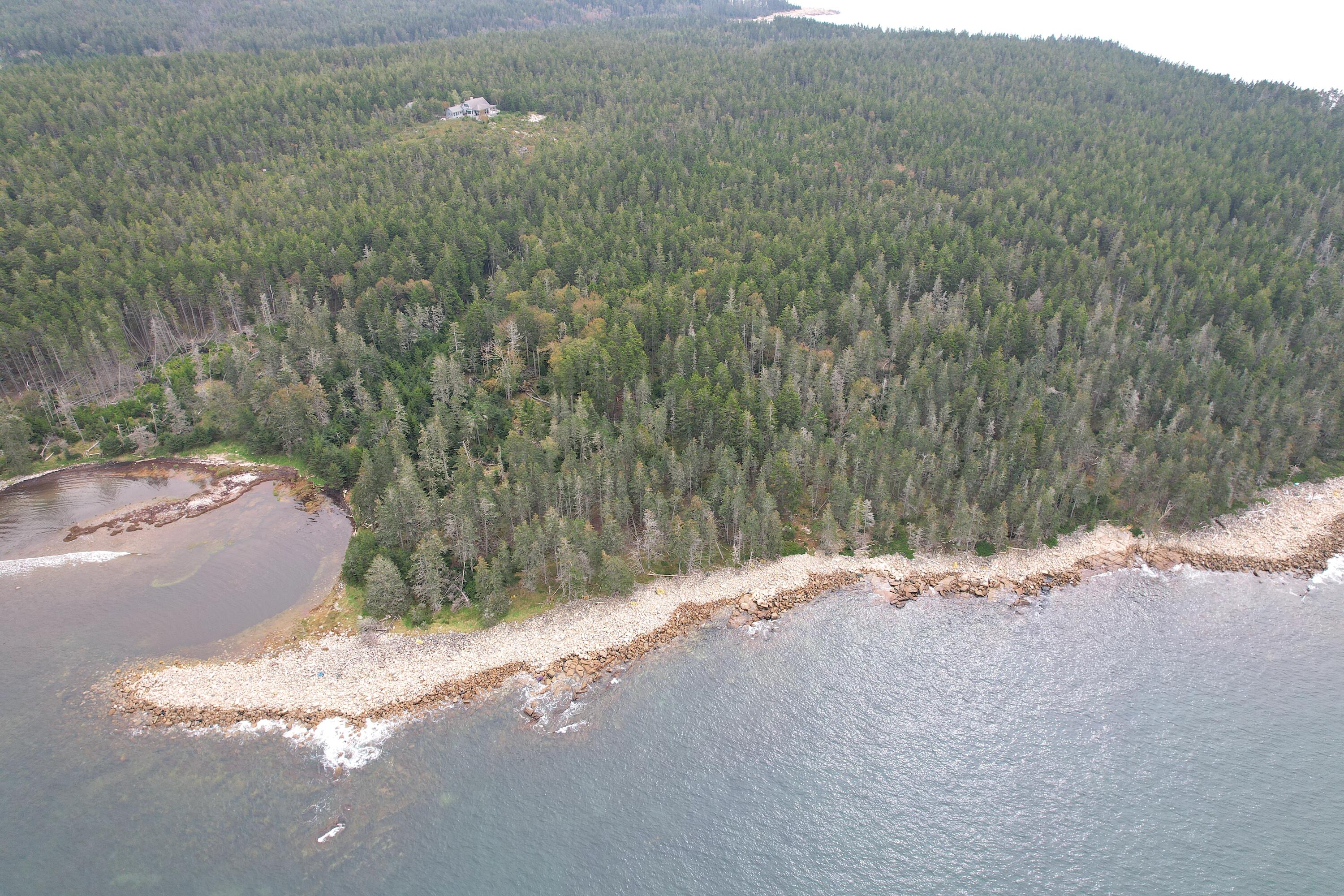 0 Butler Road Frenchboro, ME 04635 - Photo 8 of 22 shoreline