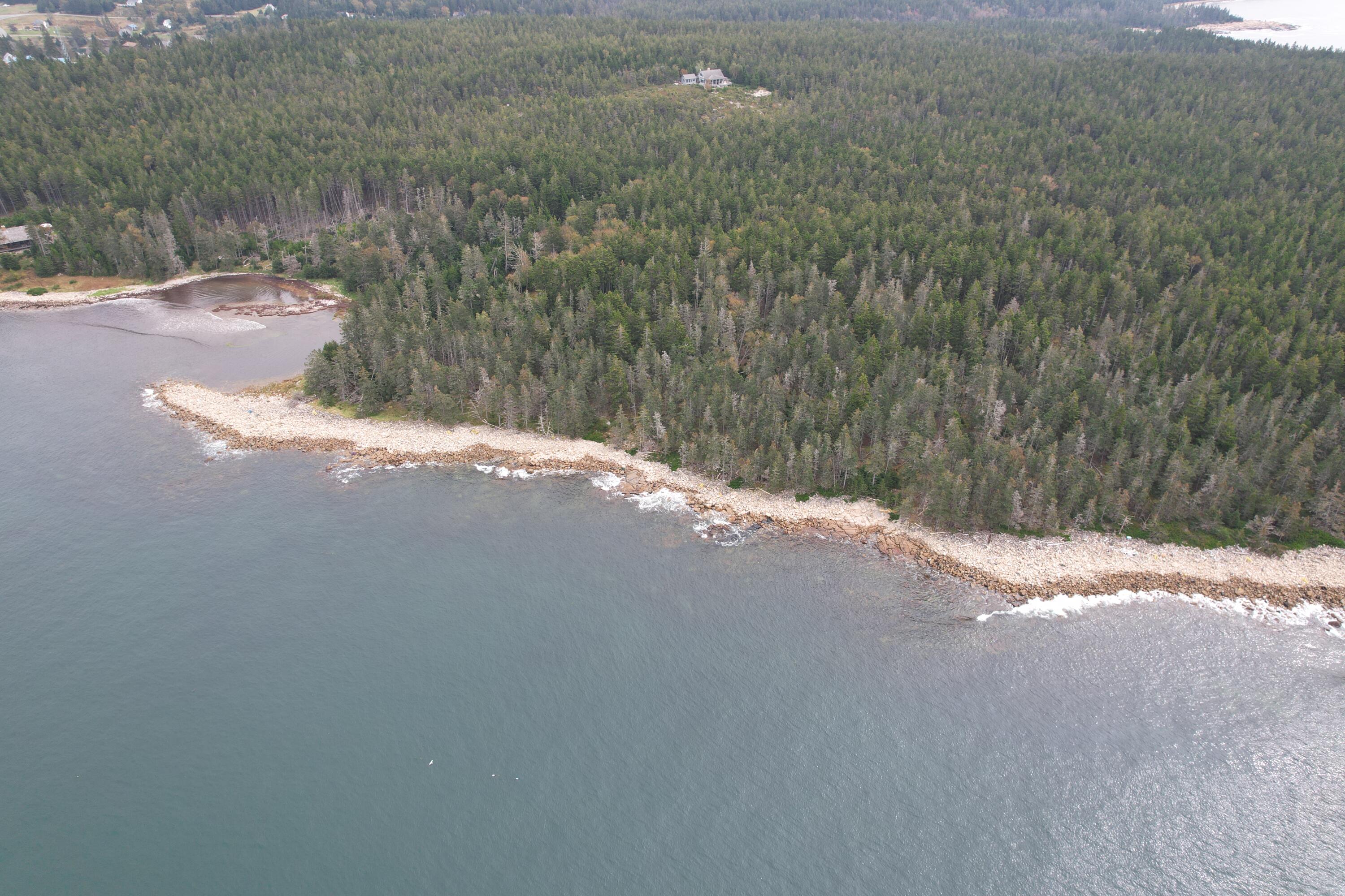 0 Butler Road Frenchboro, ME 04635 - Photo 9 of 22 shore to road