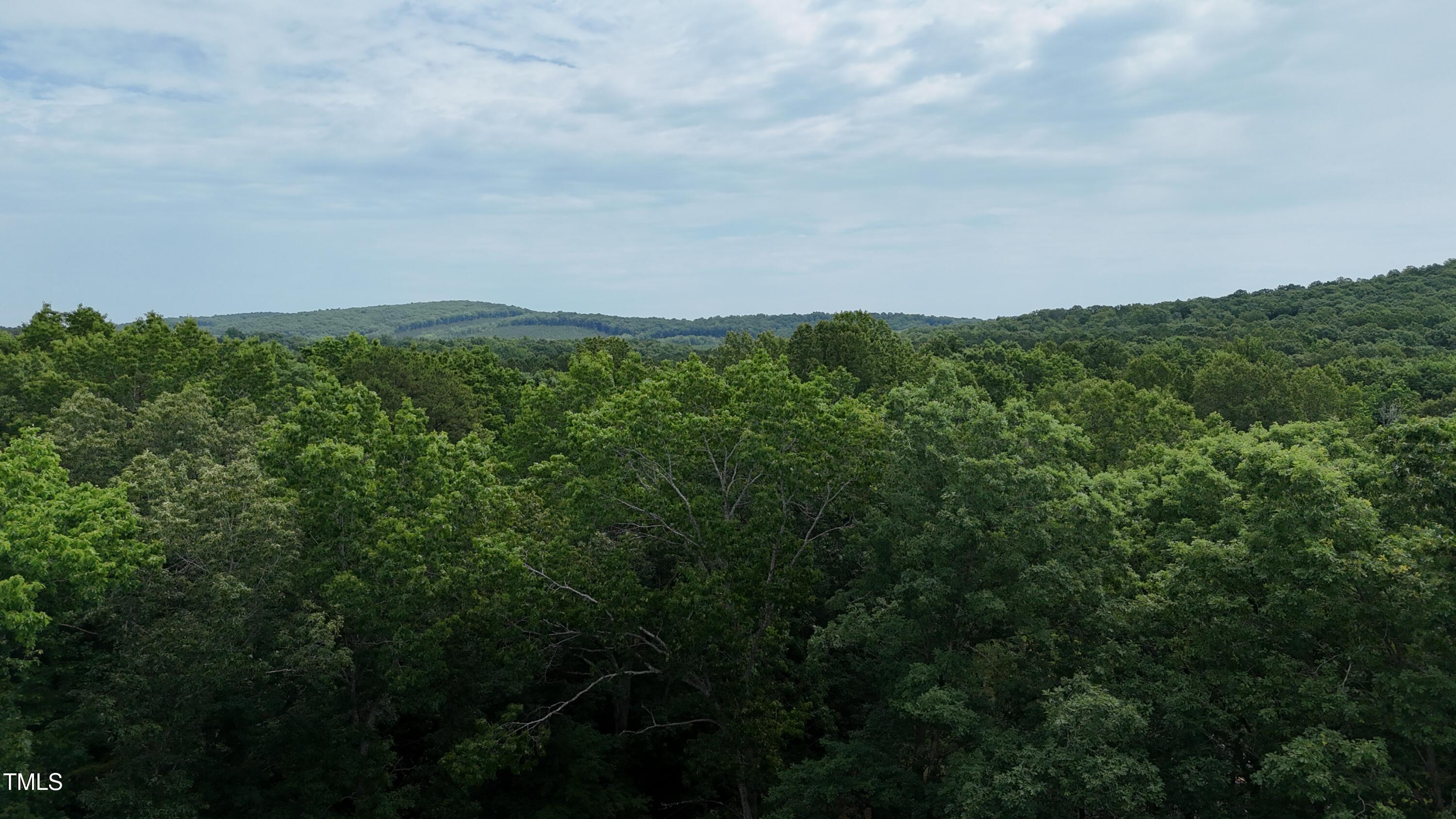951 Harris Mill Road Rougemont, NC 27572 - Photo 87 of 89 dji_fly_20250607_112650_0002_17493119825