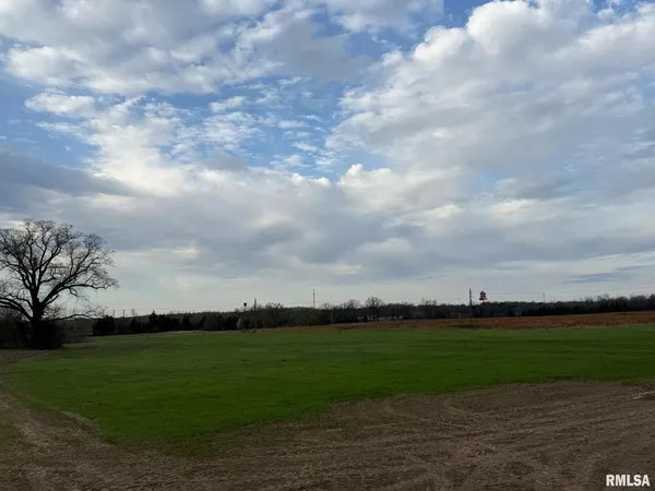 a view of a city from a yard