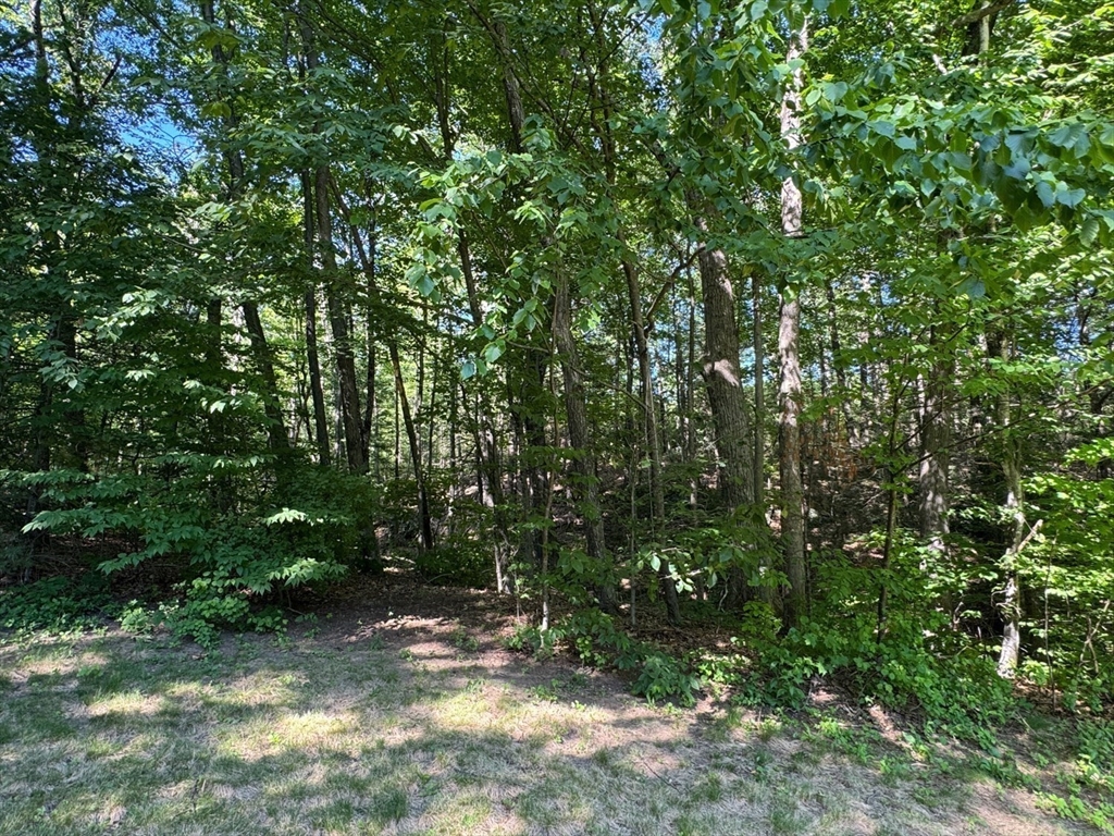 40 Mathews Road Deerfield, MA 01373 - Photo 13 of 42