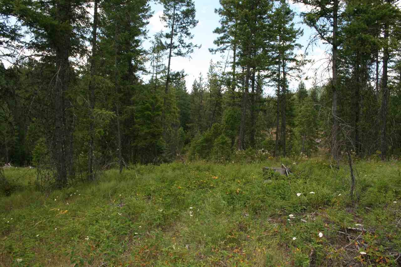 0 Olinger Road, Unit LOT D Springdale, WA 99173 - Photo 3 of 4