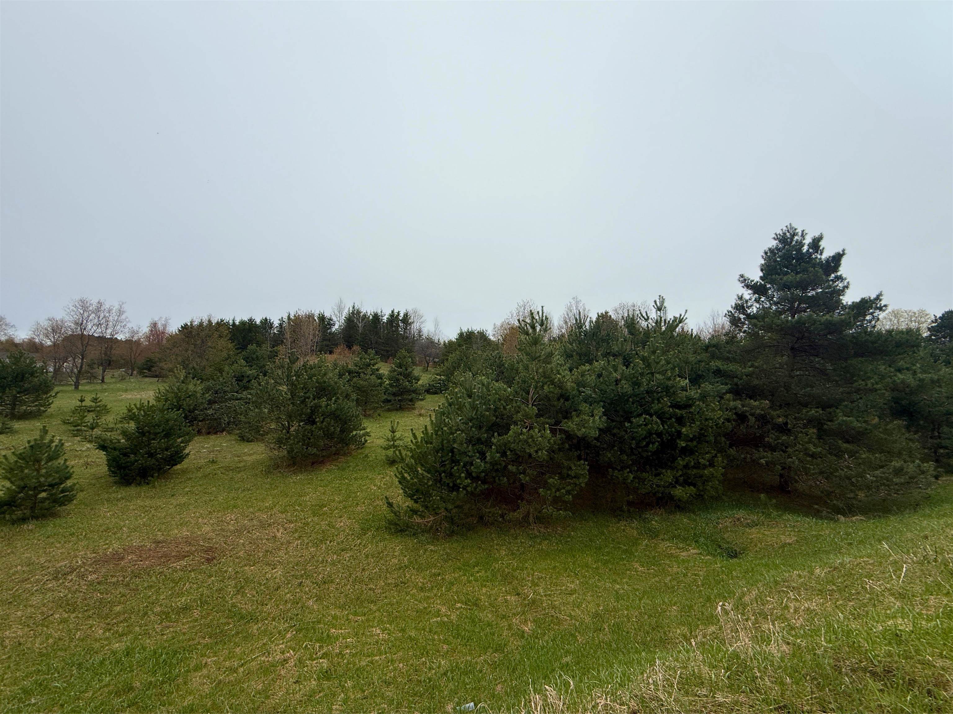 0 West County Line Road, Unit LOT: C Thompsonville, MI 49683 - Photo 17 of 21