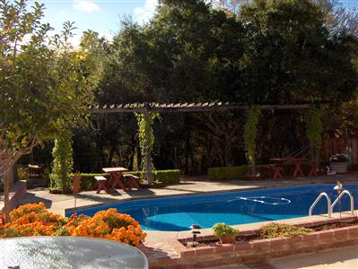 5821 Sharp Road Calistoga, CA 94515 - Photo 8 of 12 a view of swimming pool and lounge chairs