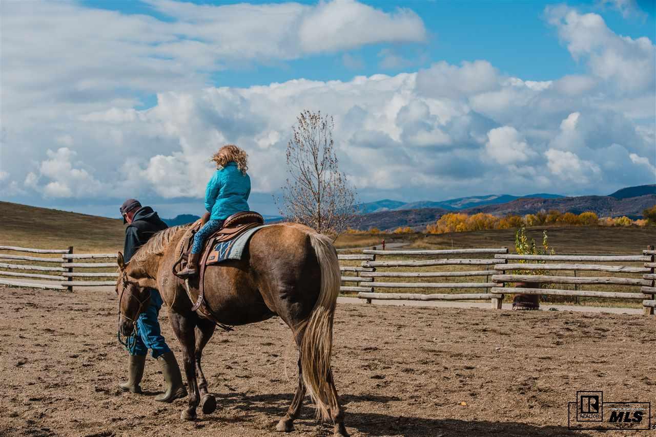 27155 Fire Song Road Steamboat Springs, CO 80487 - Photo 5 of 14