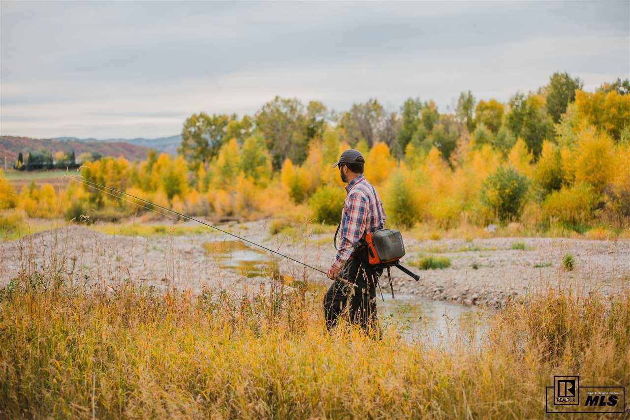 27155 Fire Song Road Steamboat Springs, CO 80487 - Photo 6 of 14