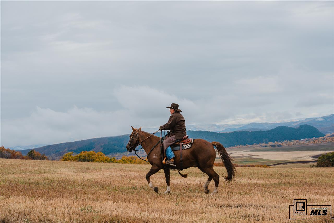 27155 Fire Song Road Steamboat Springs, CO 80487 - Photo 9 of 14