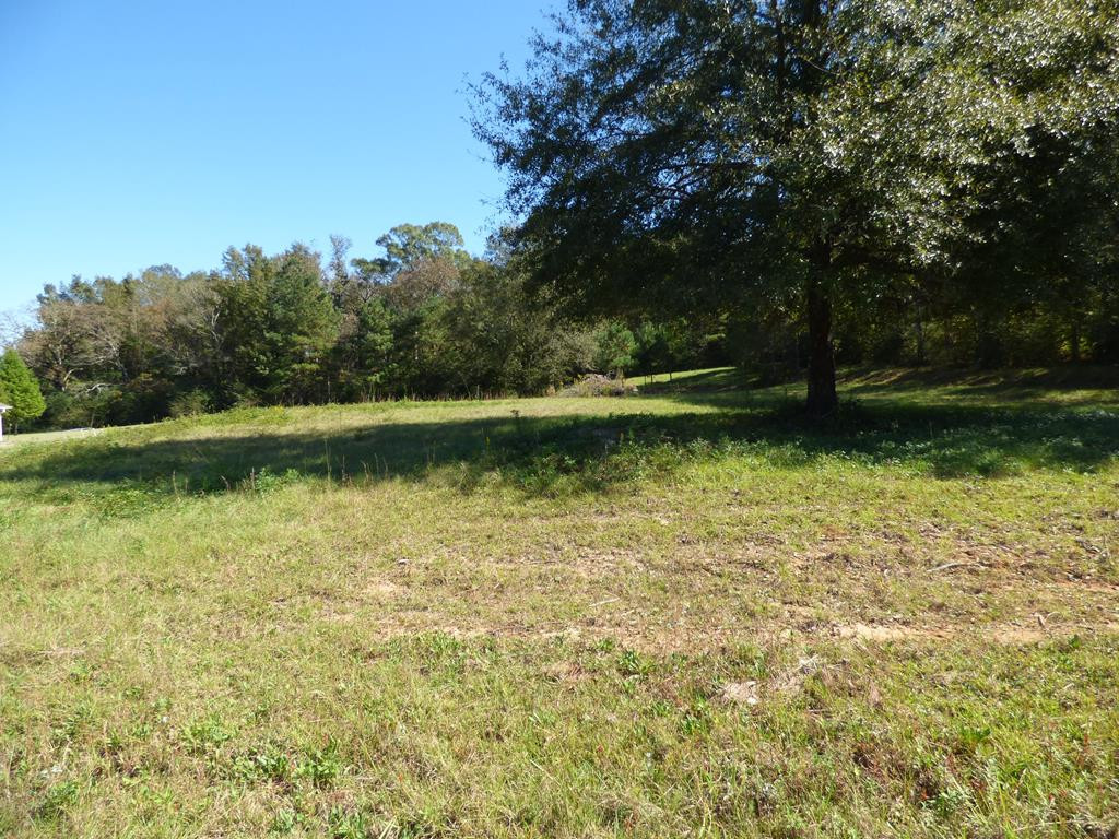 1027 Deer Ridge Road McComb, MS 39648 - Photo 1 of 5 Main View