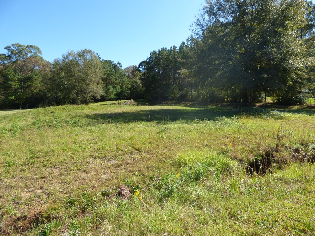 1027 Deer Ridge Road McComb, MS 39648 - Photo 2 of 5 Photo 2