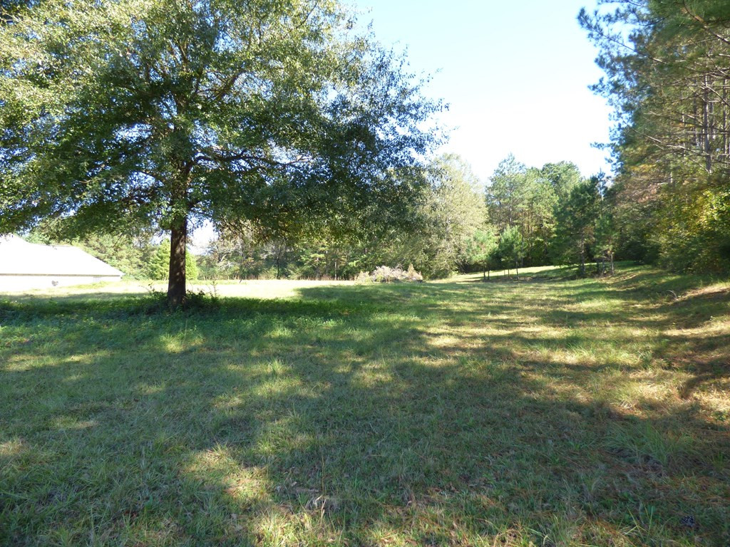 1027 Deer Ridge Road McComb, MS 39648 - Photo 3 of 5 Photo 3