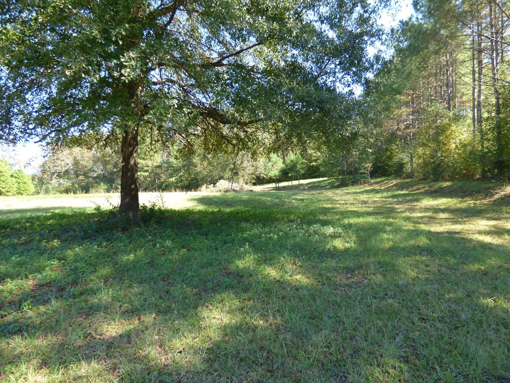 1027 Deer Ridge Road McComb, MS 39648 - Photo 4 of 5 Photo 4