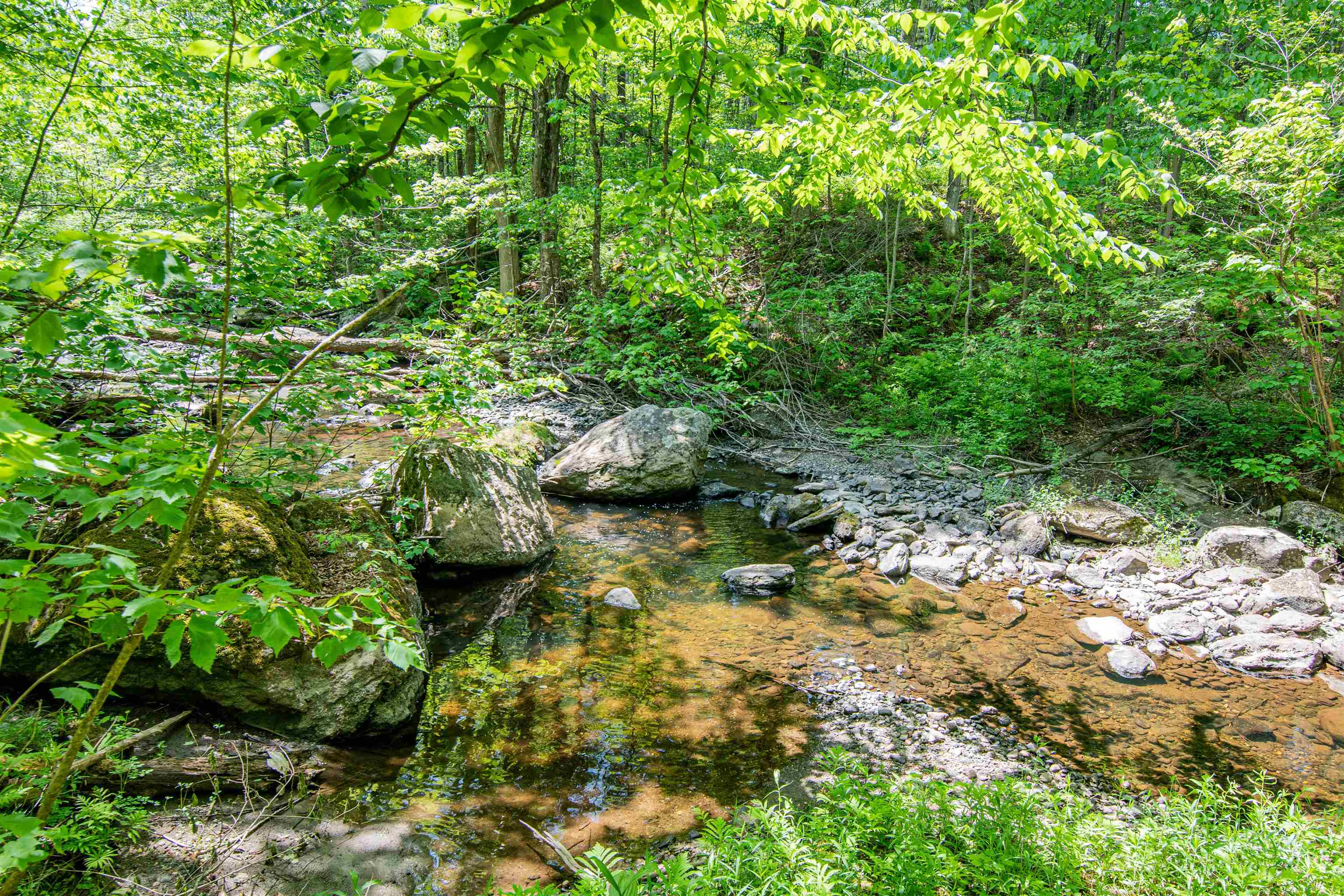 3458 Elmore Pond Road Wolcott, VT 05680 - Photo 35 of 39