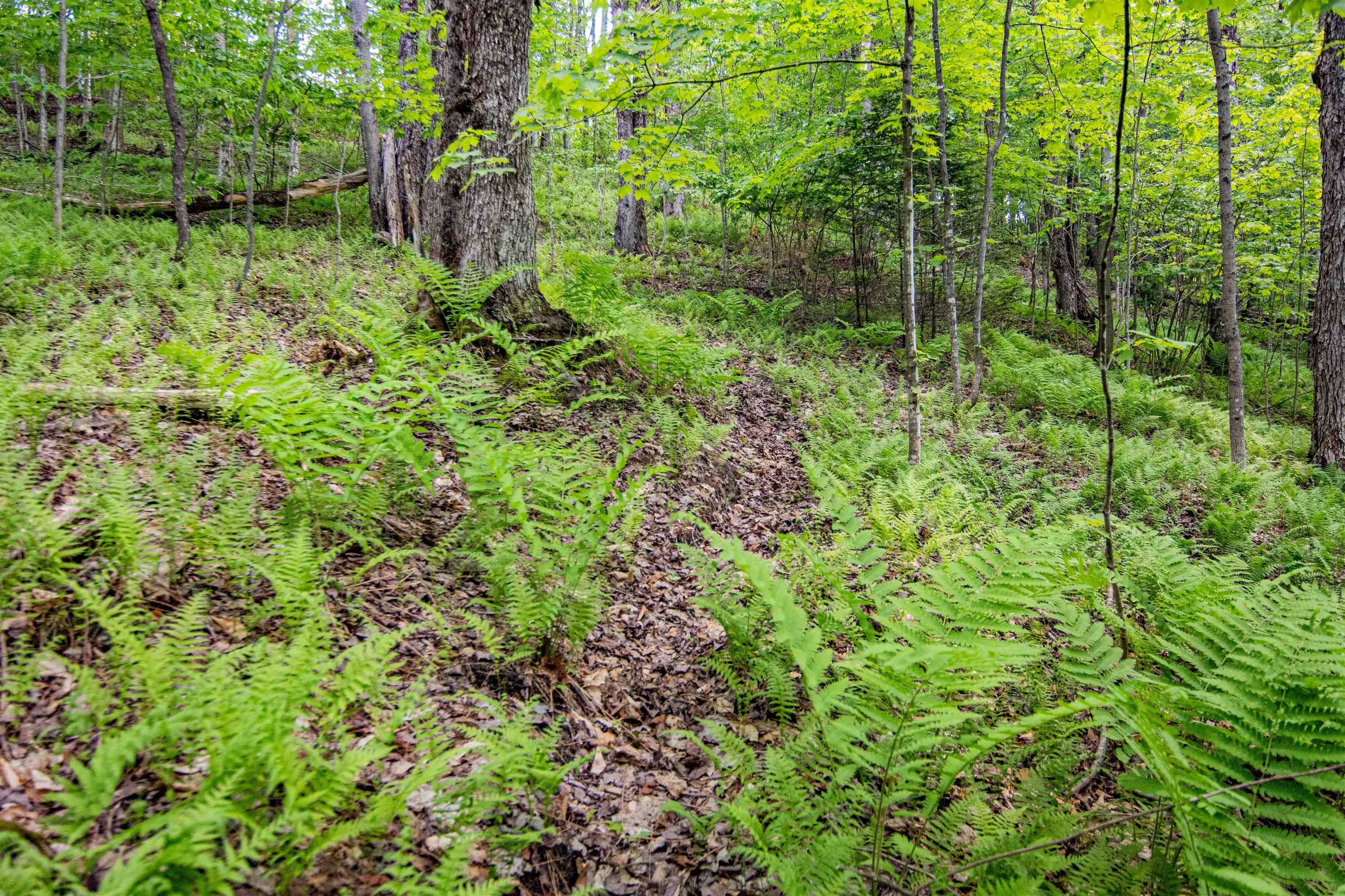 3458 Elmore Pond Road Wolcott, VT 05680 - Photo 36 of 39